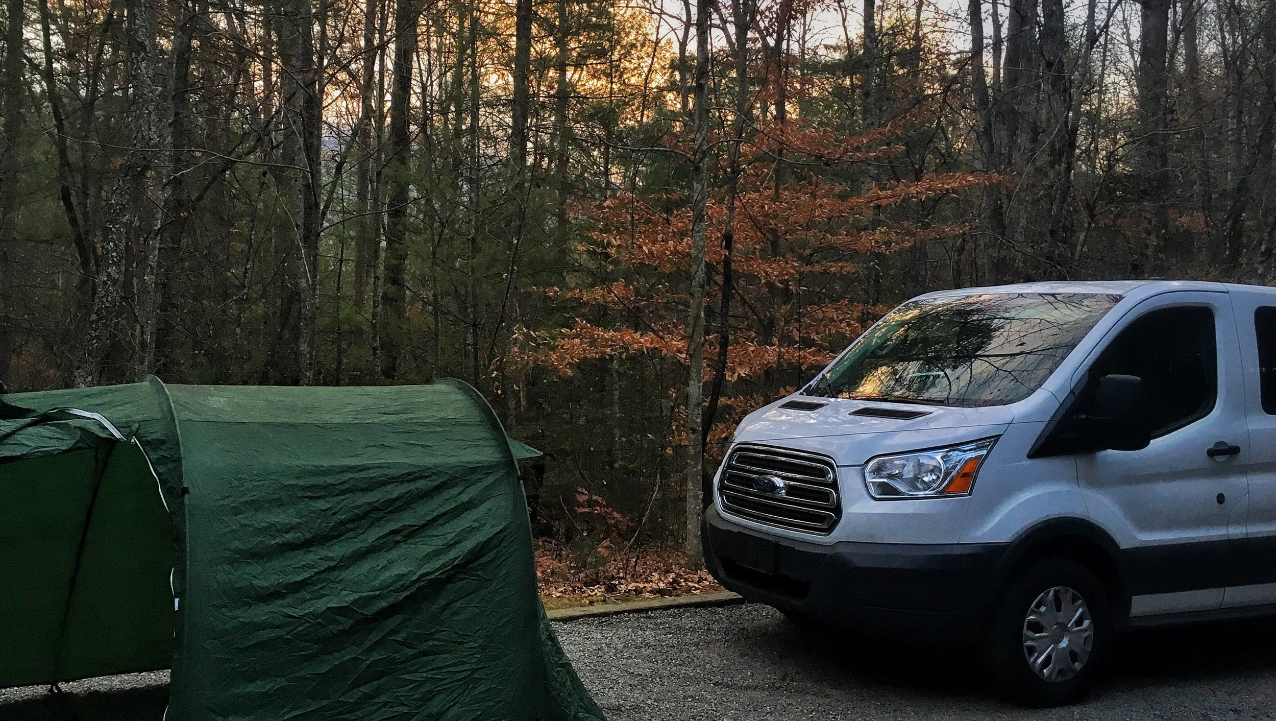 I Peed in the Woods This Morning