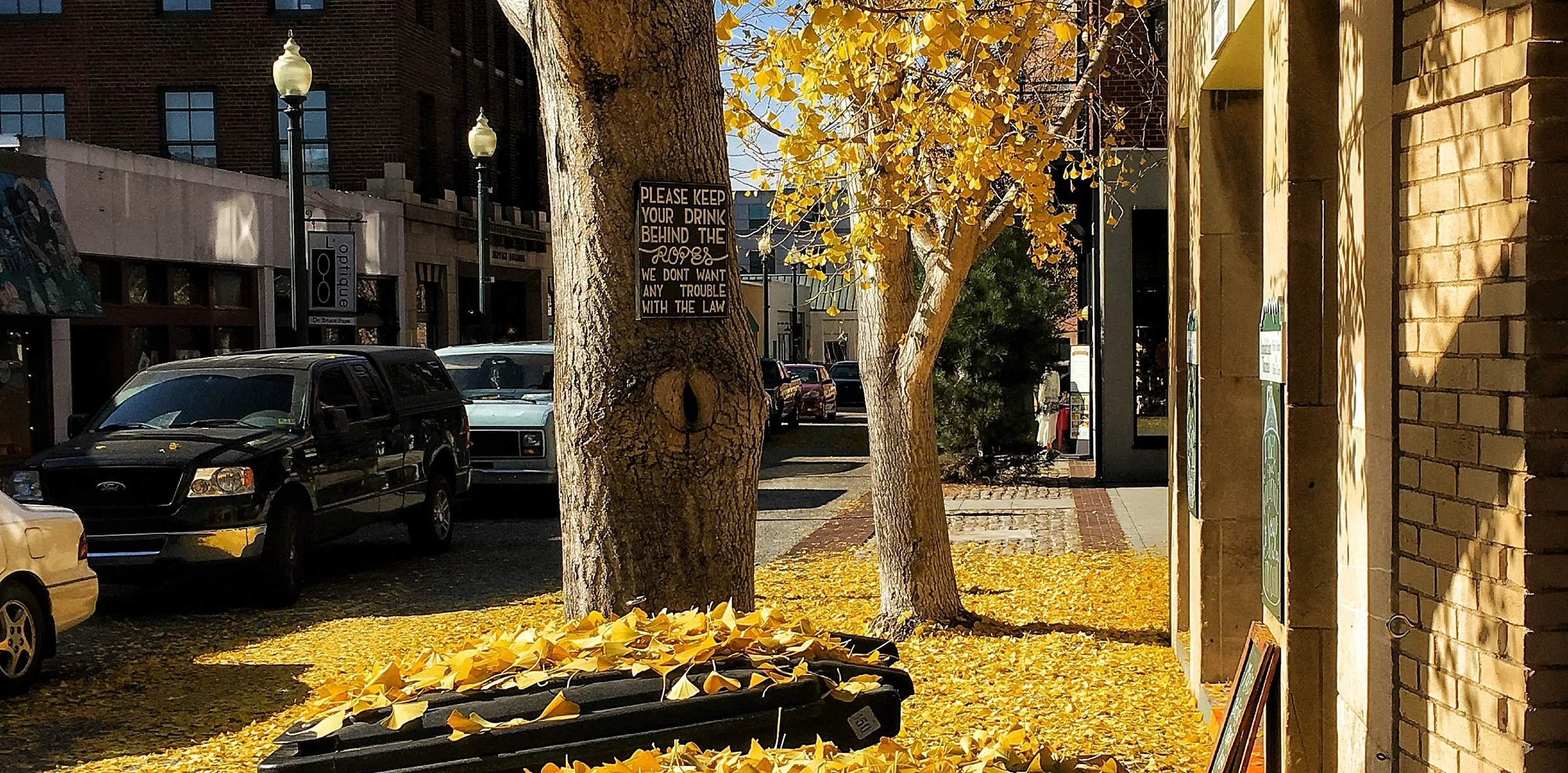 Carlessness, Homelessness, and a Sea of Golden Butterflies