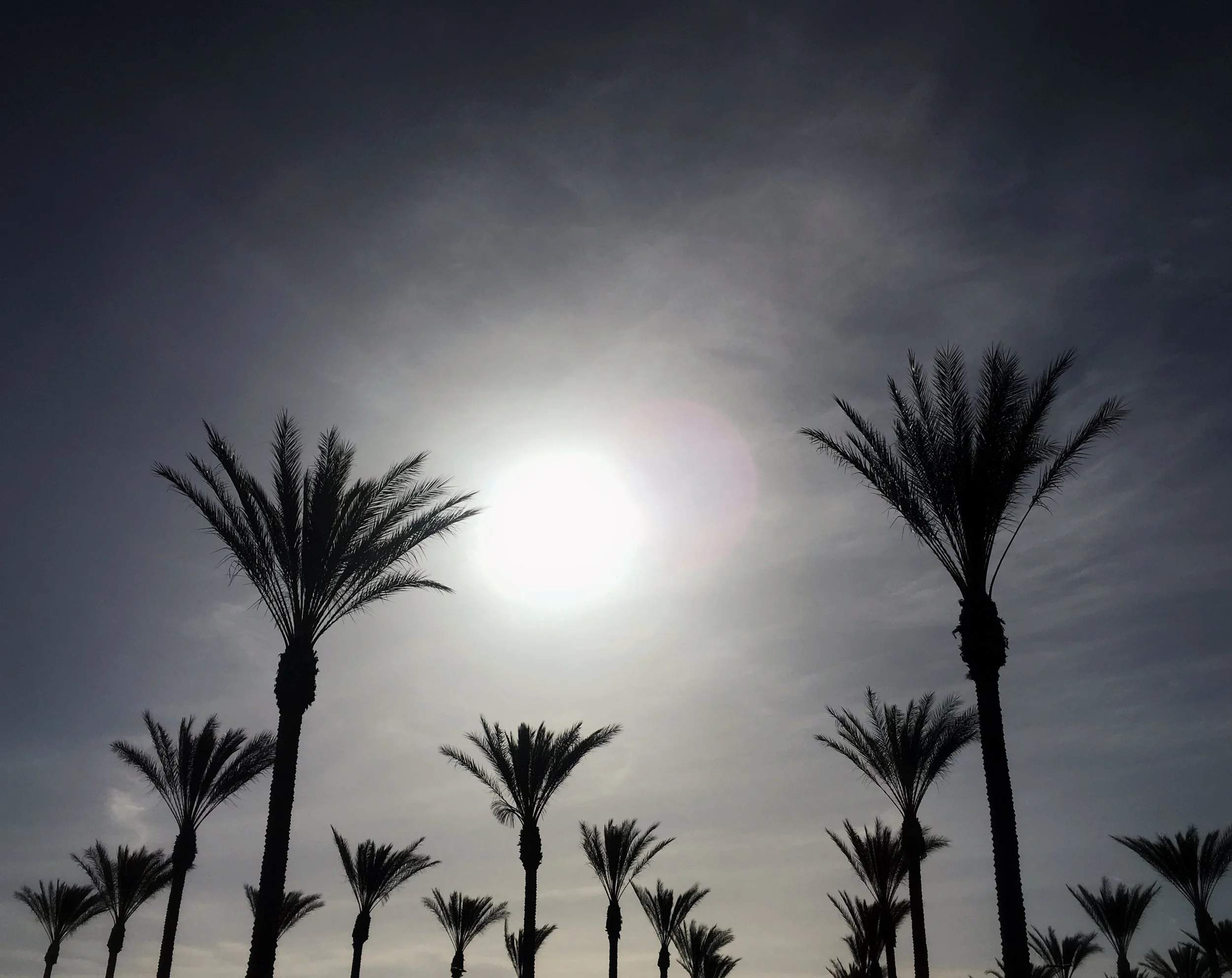 I Love/Hate California