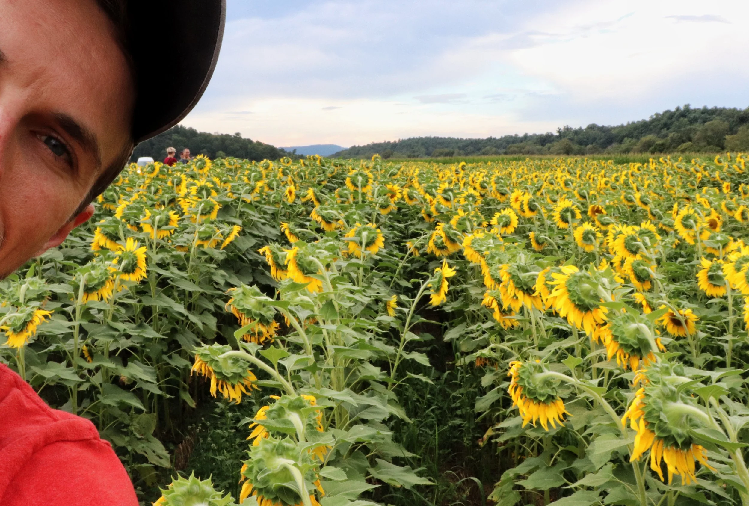 Gravity Is Pulling You and Me and All of This Down