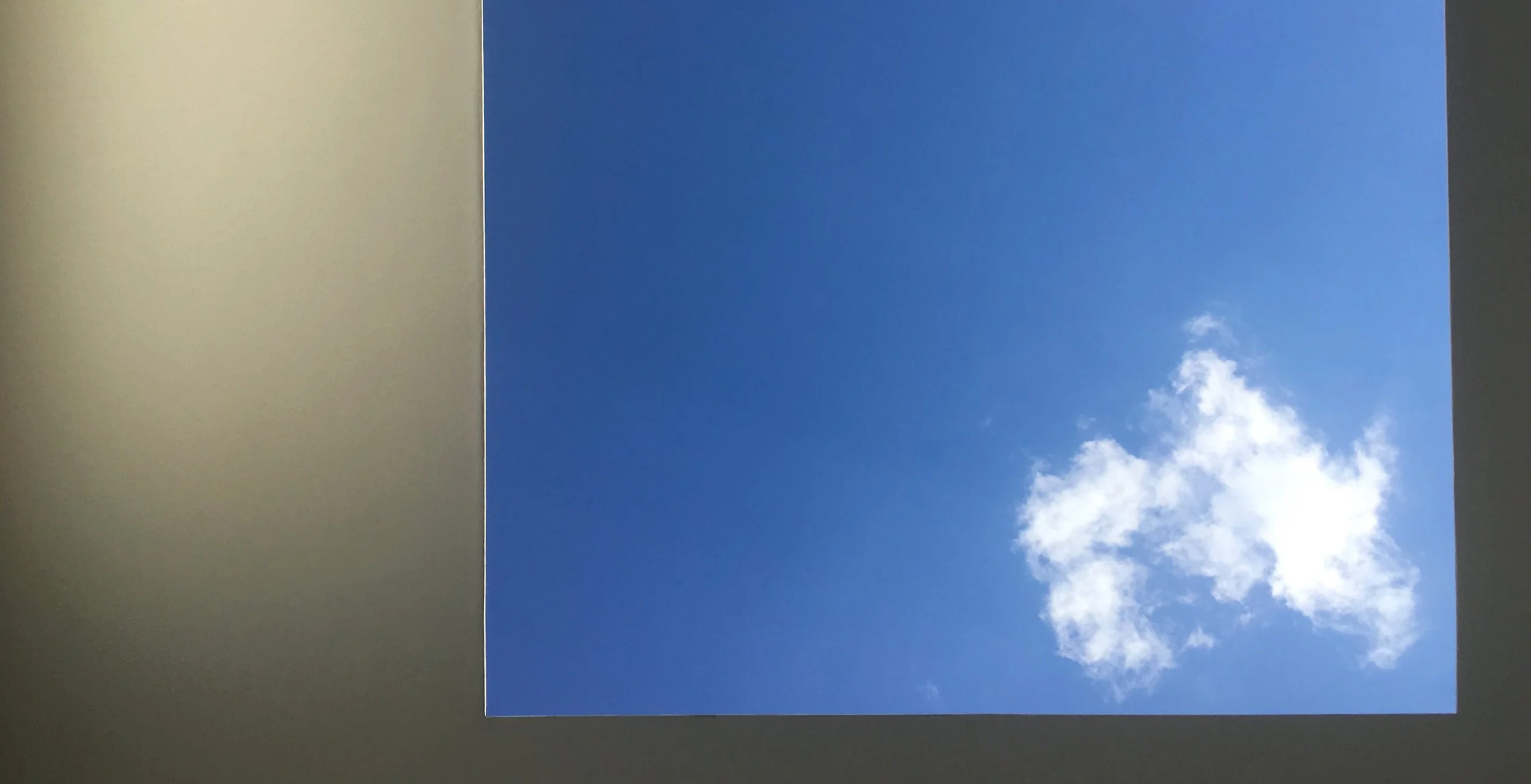 I Want This Plane to Crash