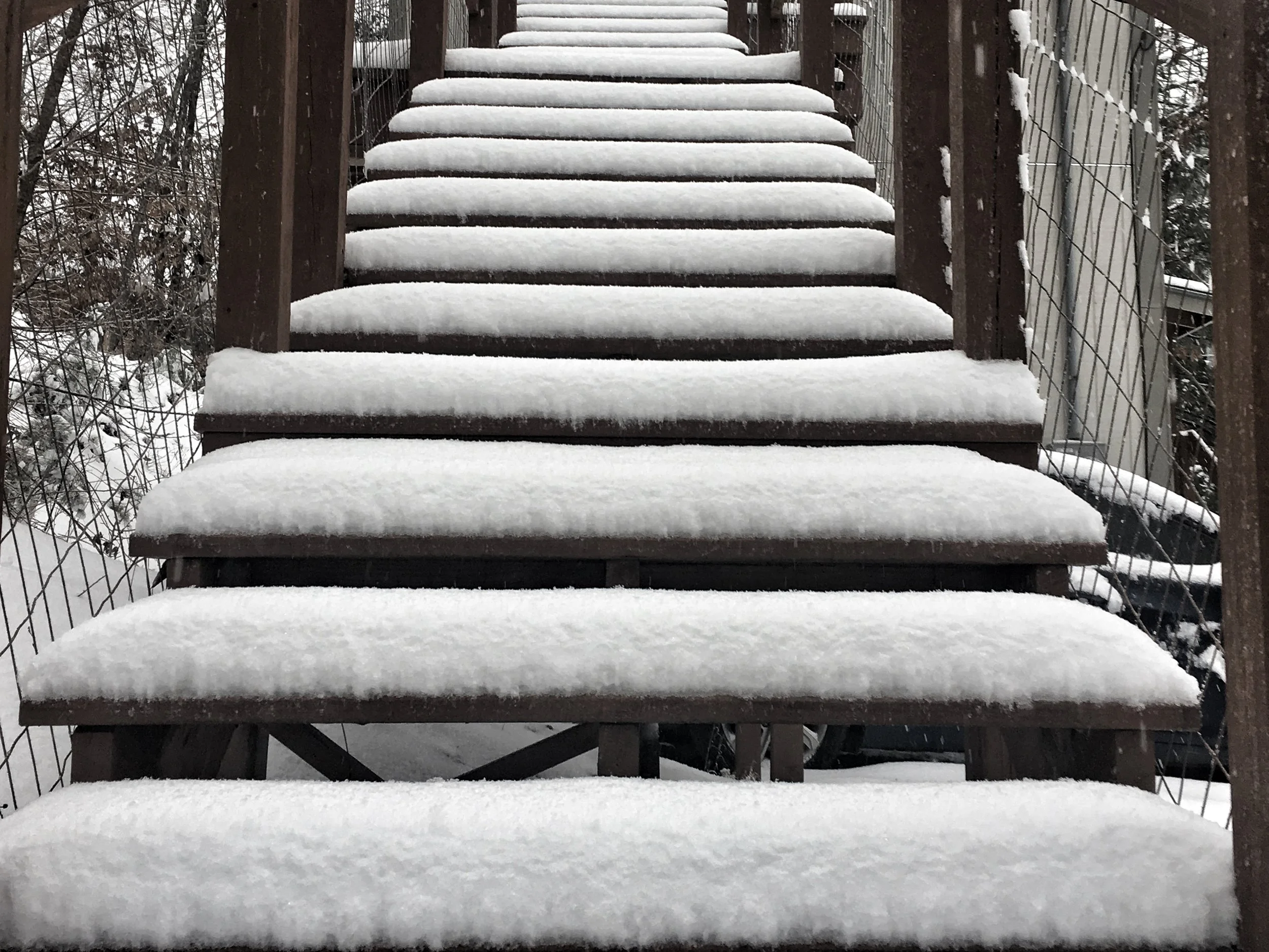 End of Year Emo Blizzard