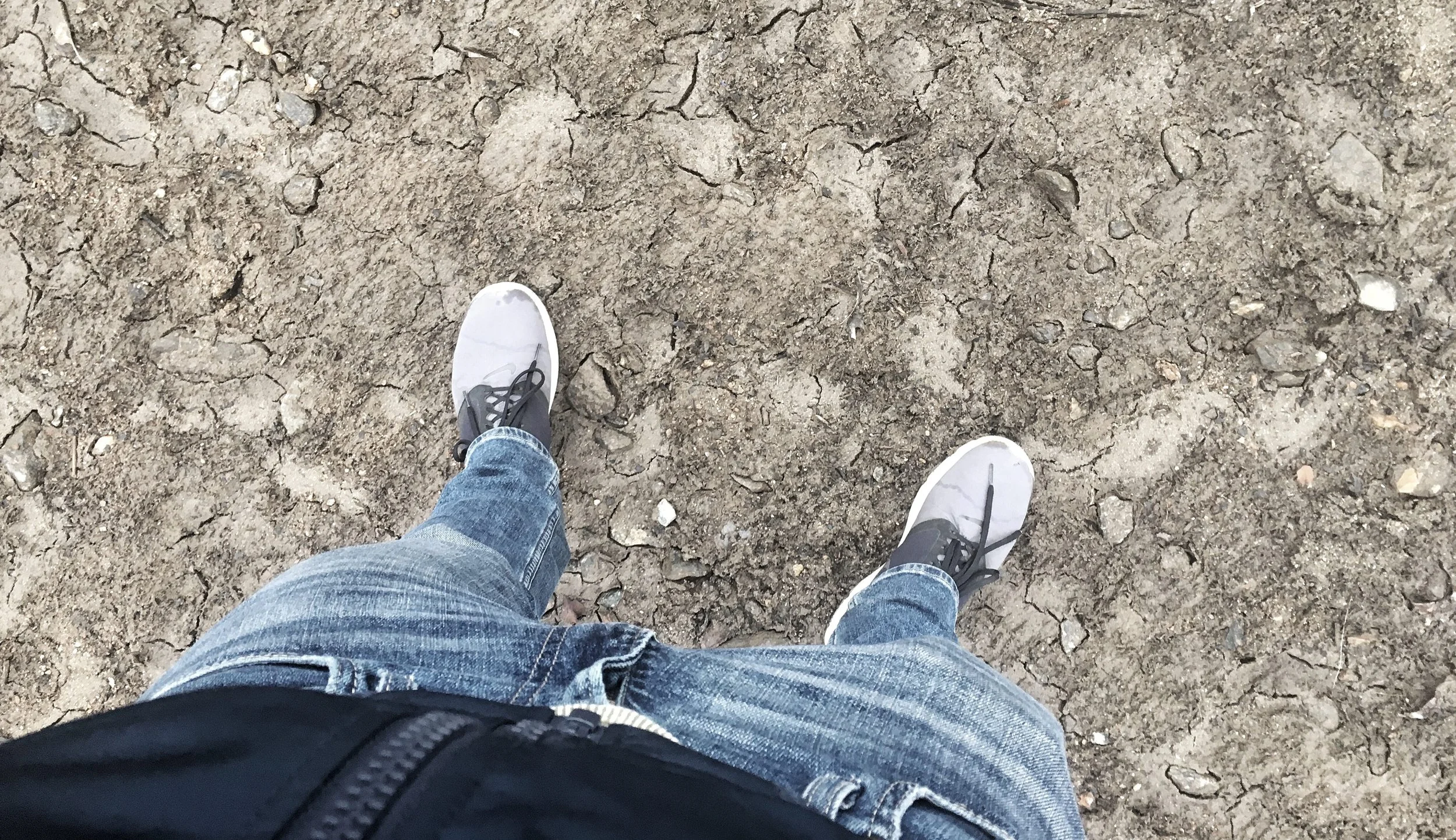 This Isn't Real Life