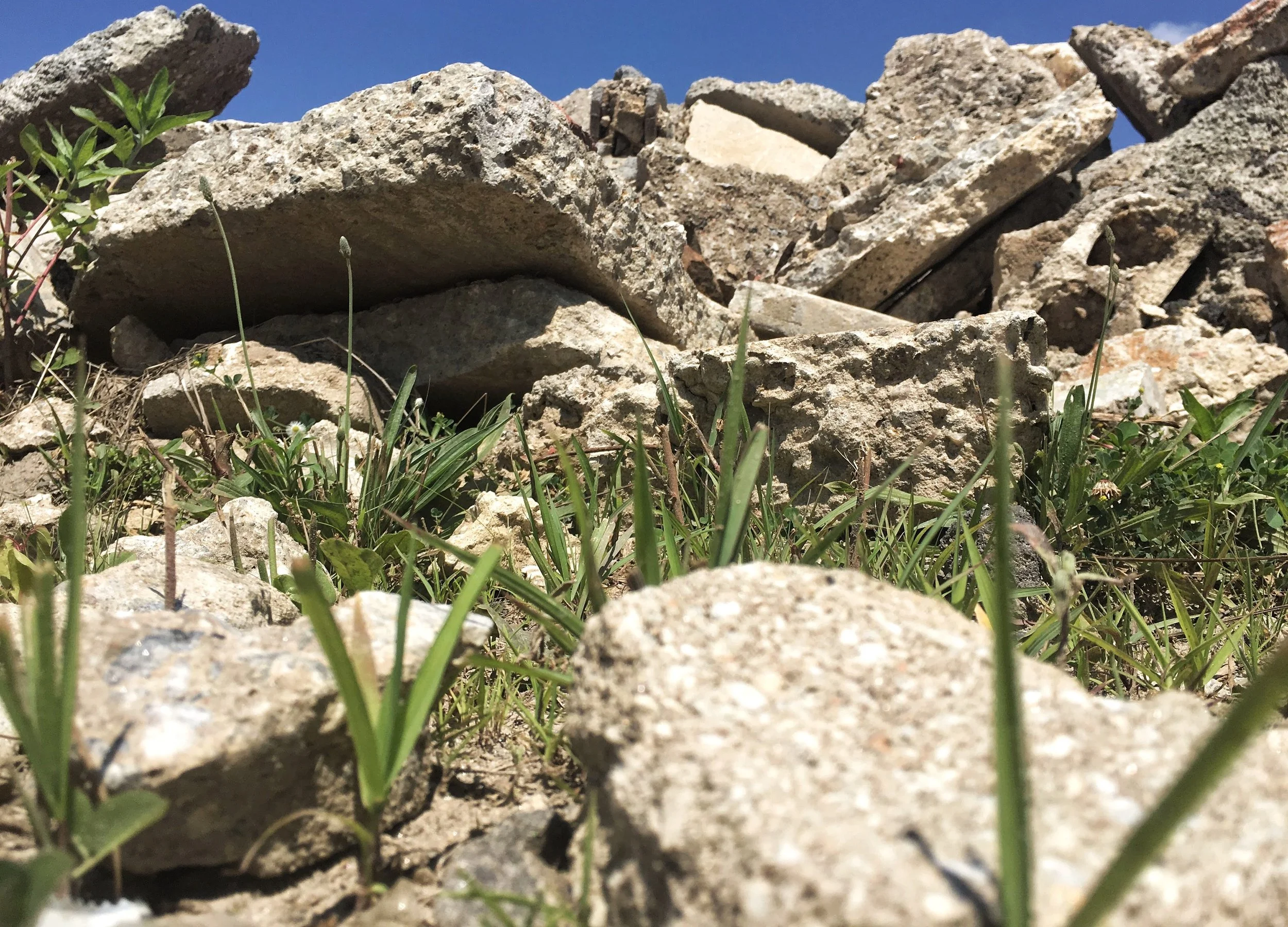 I Will Stay in This Rubble