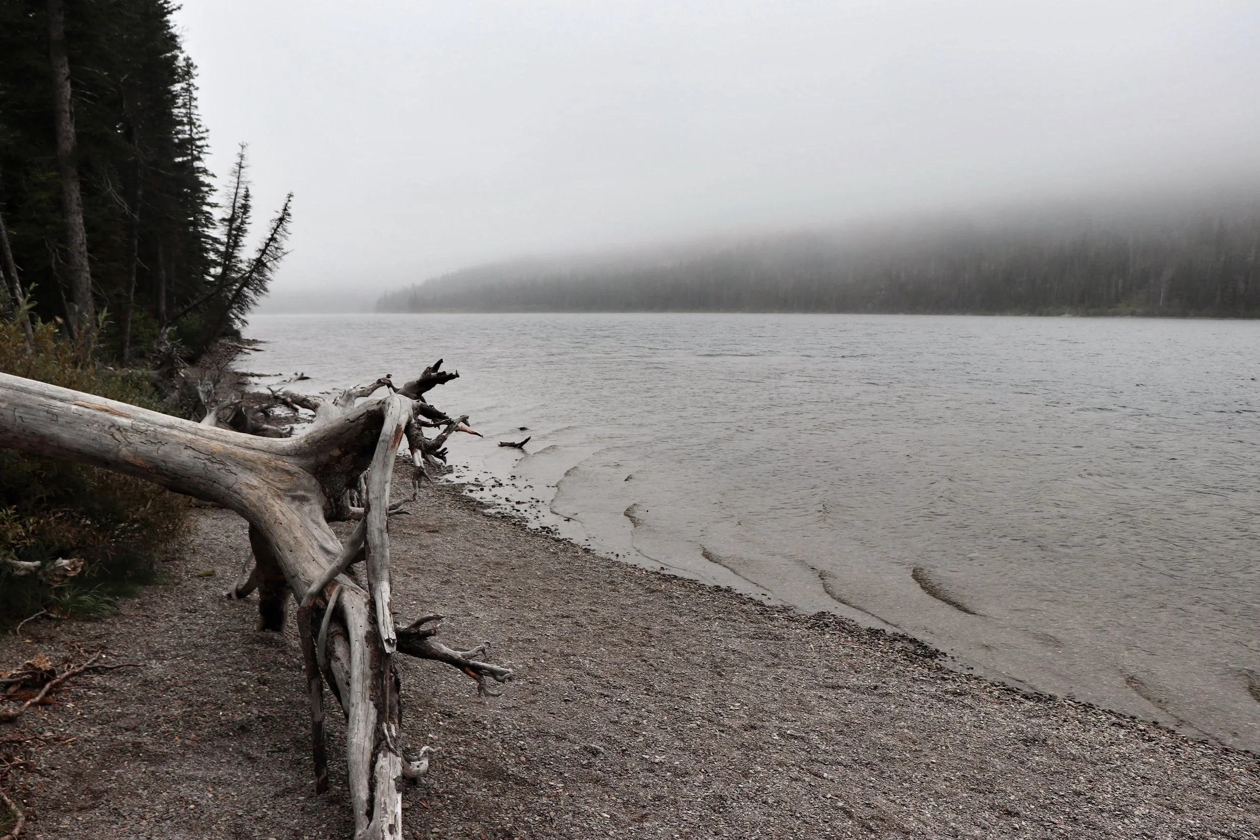 This Chasm of Calling