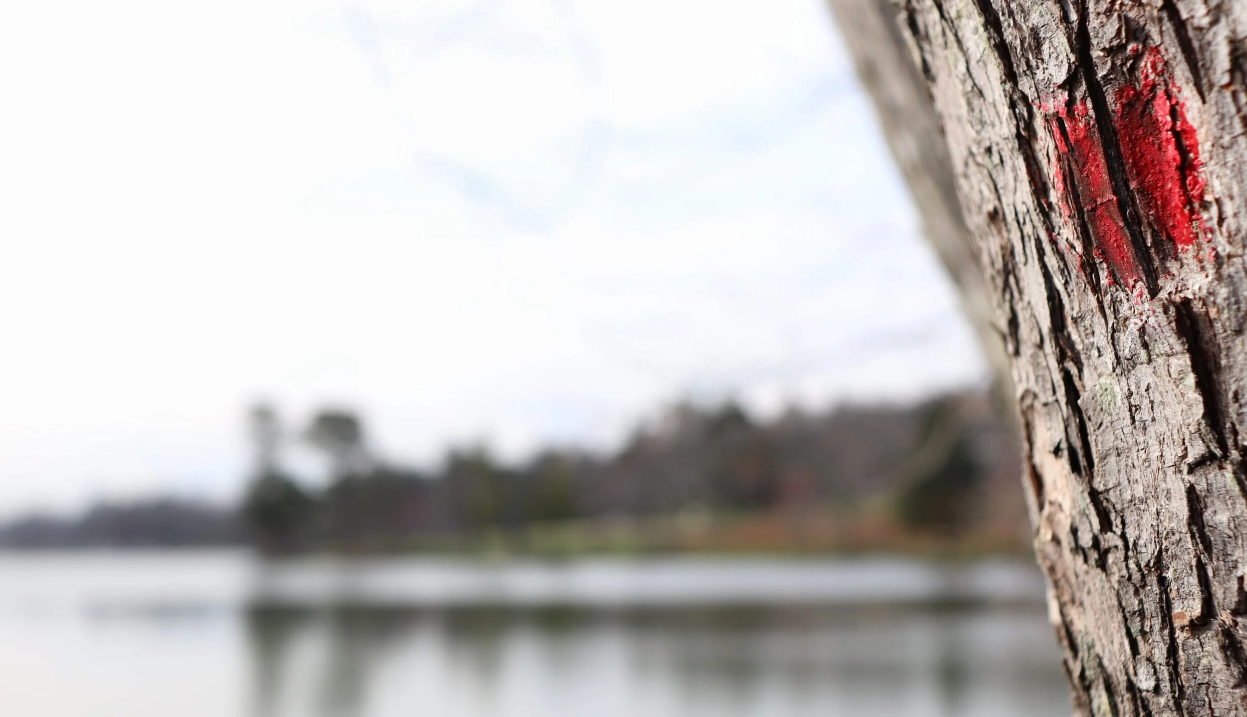 Give Us Tomorrow's Barabbas