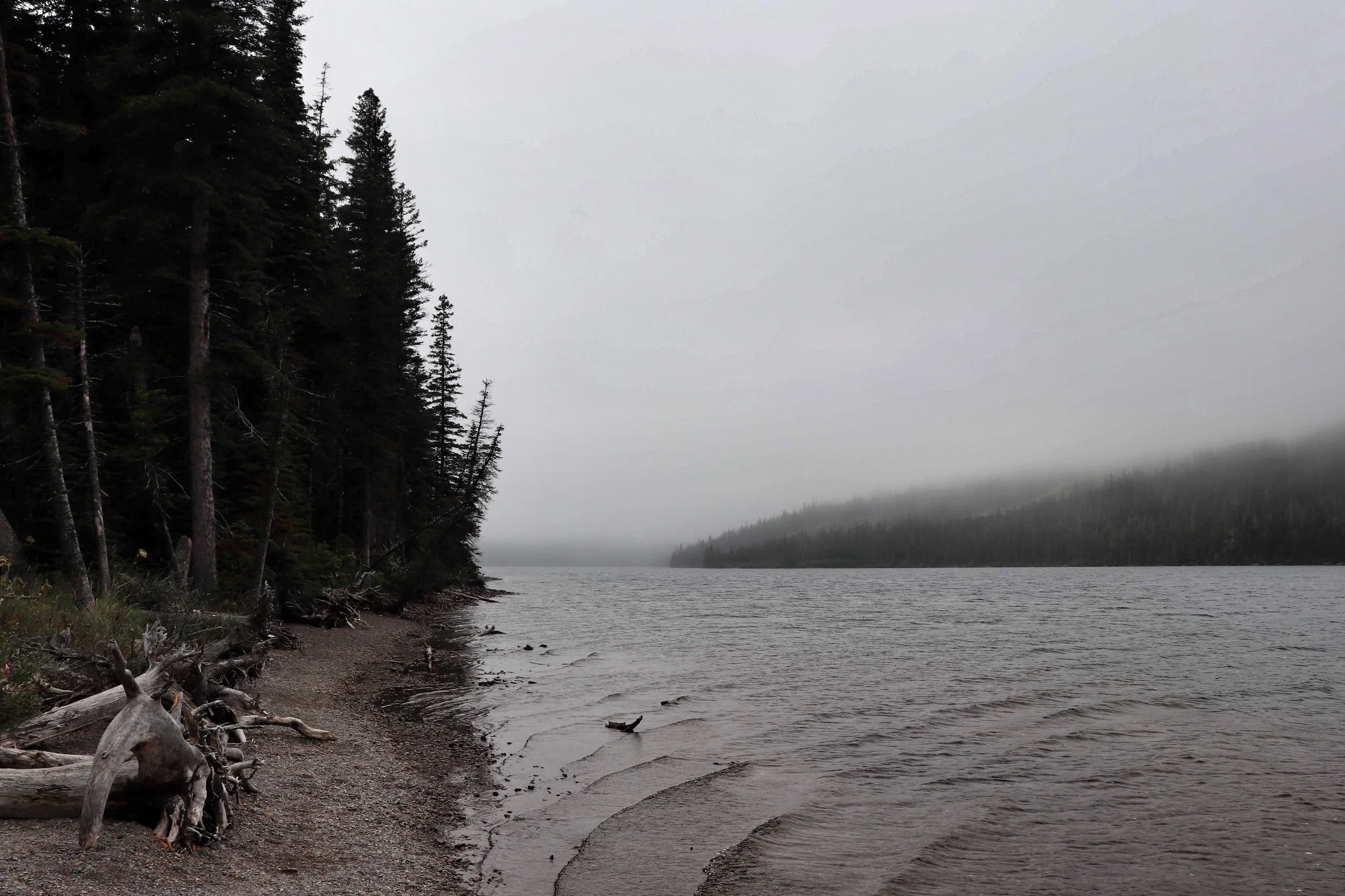 Beyond the Rot of This River