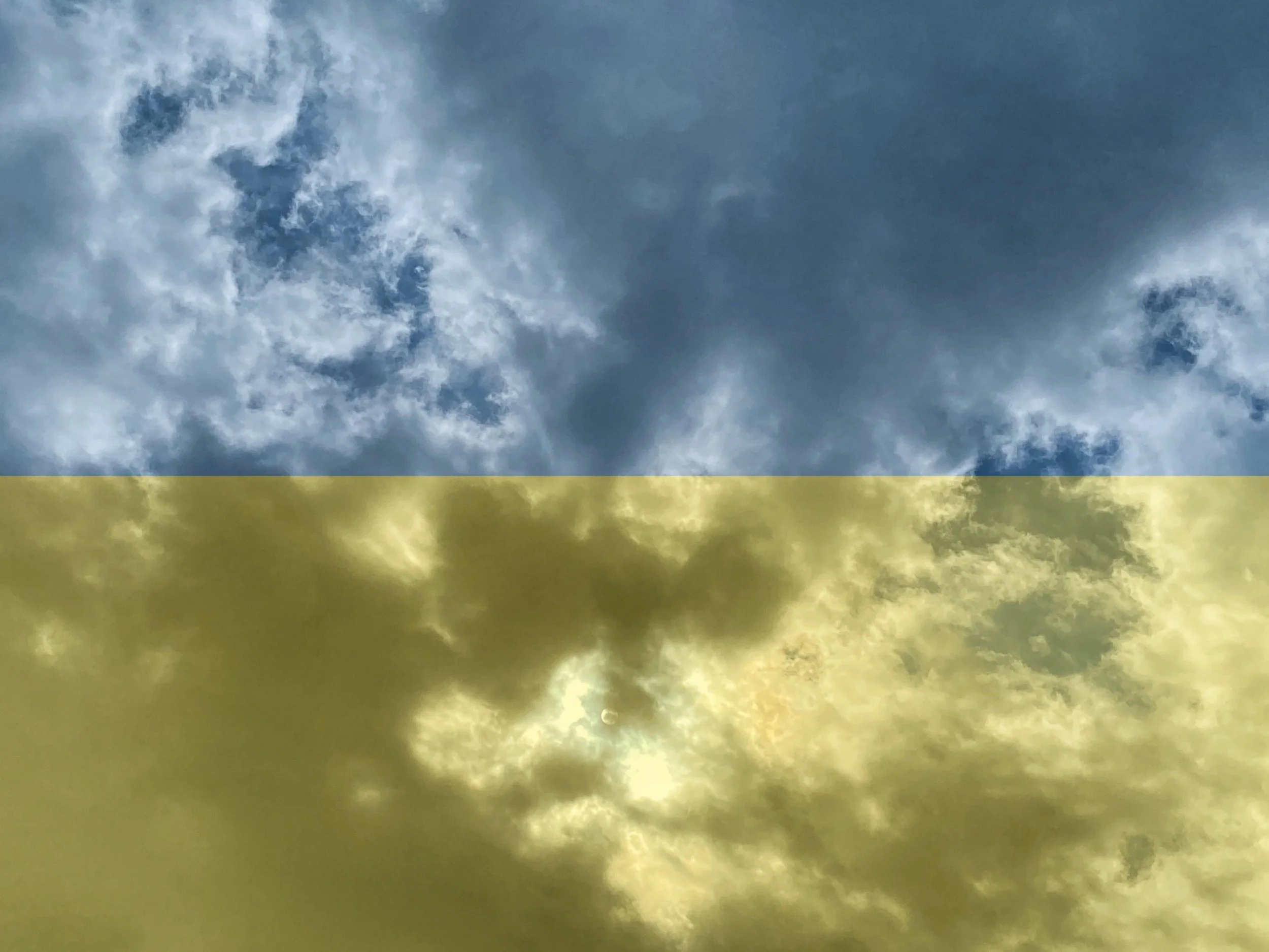 What About Bob's Son