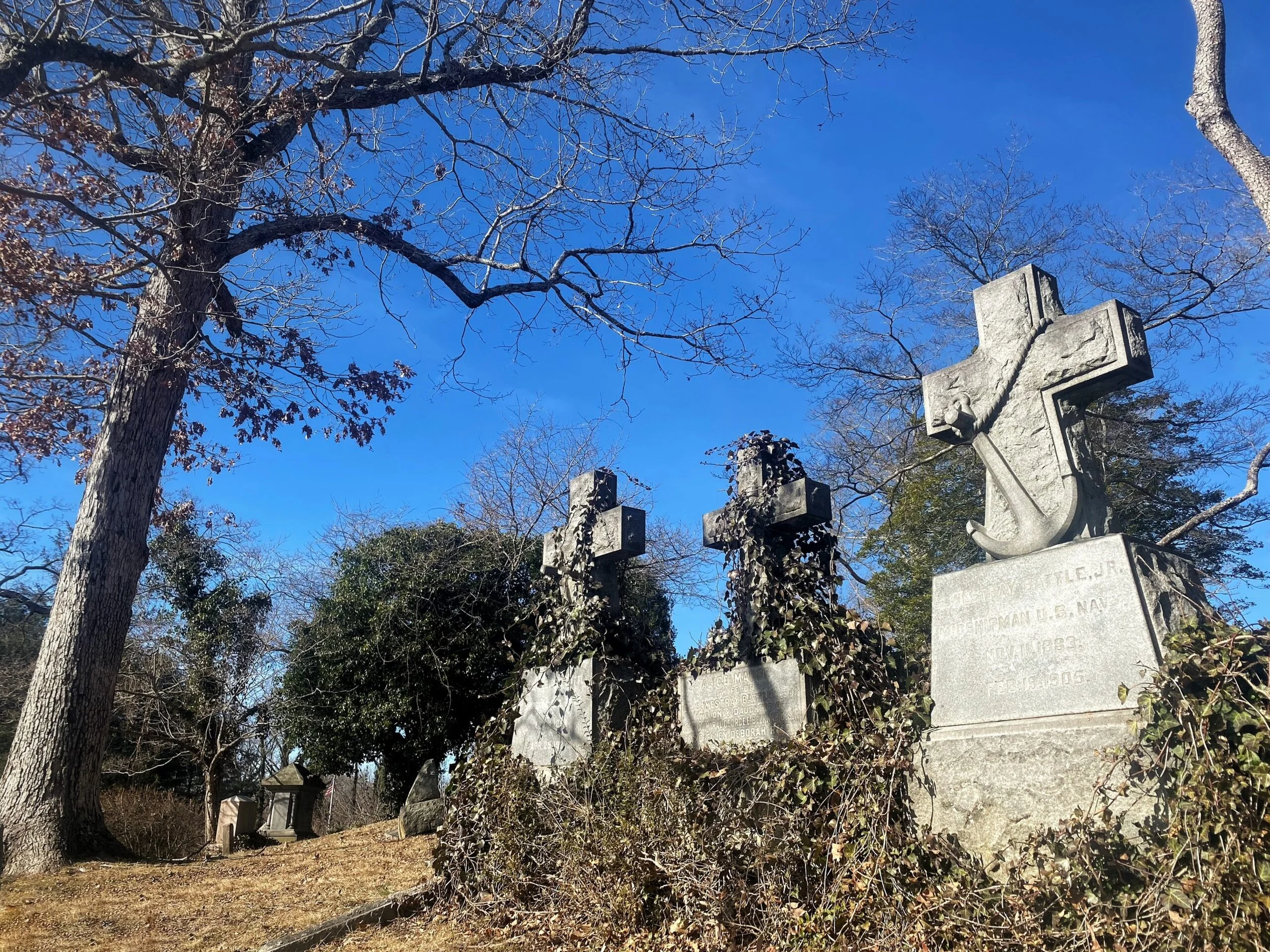 The Cost of New Creation (2024 Will Hurt)