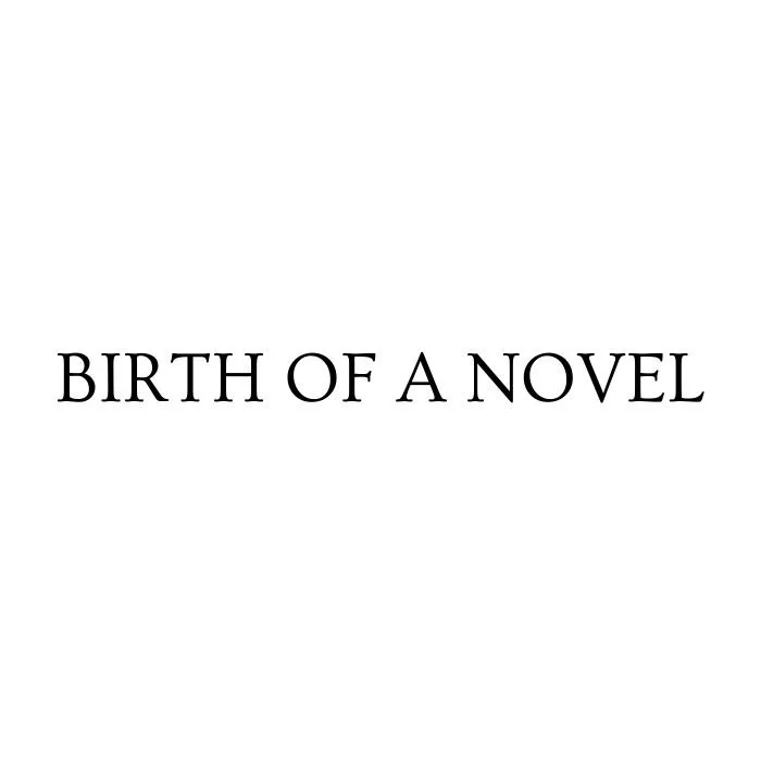 Birth of a Novel Logo