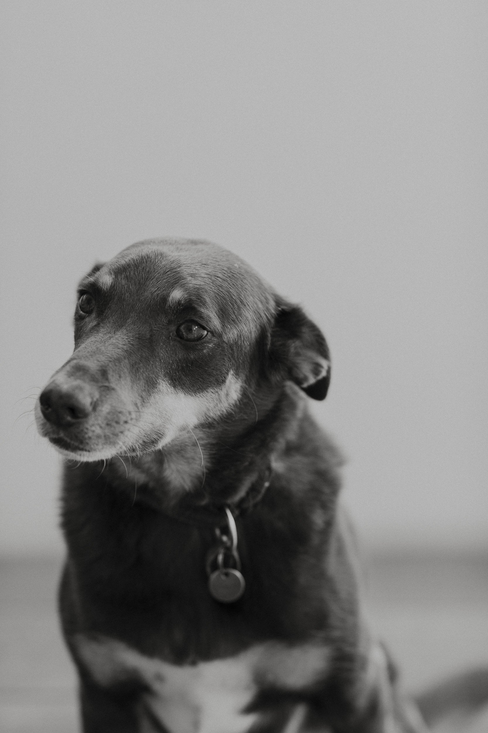 H&H Portraits-0062.jpg