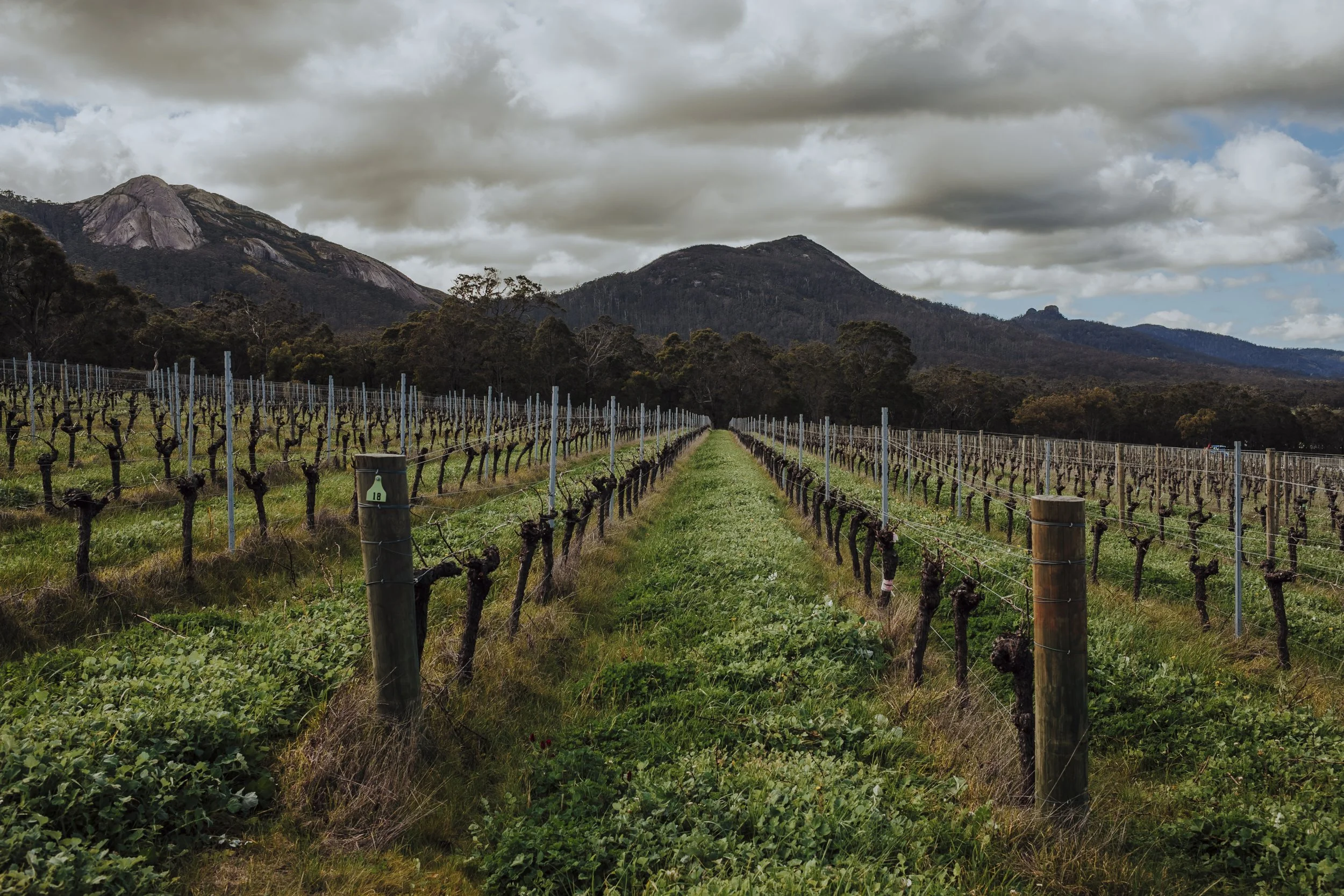 Great Southern Wine-32.jpg
