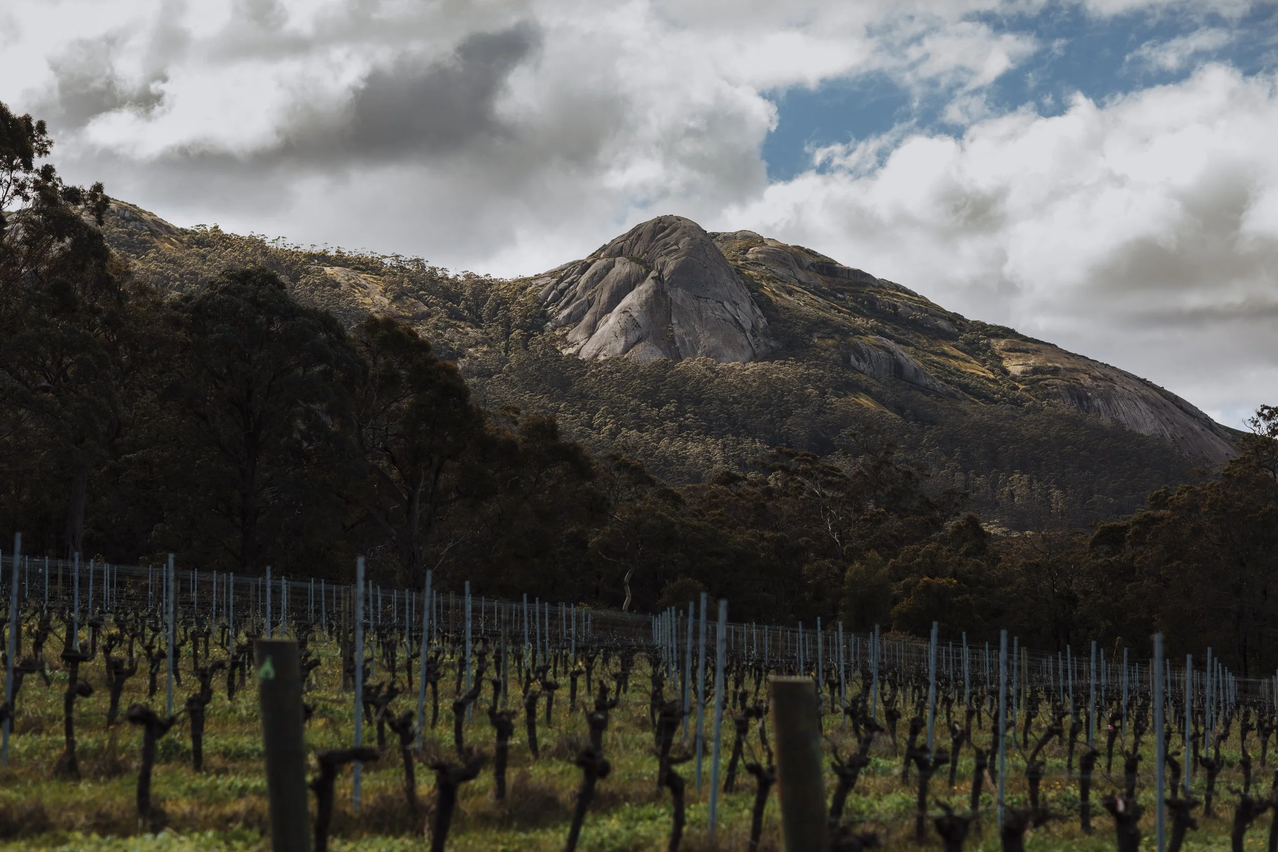 Great Southern Wine-34-2.jpg