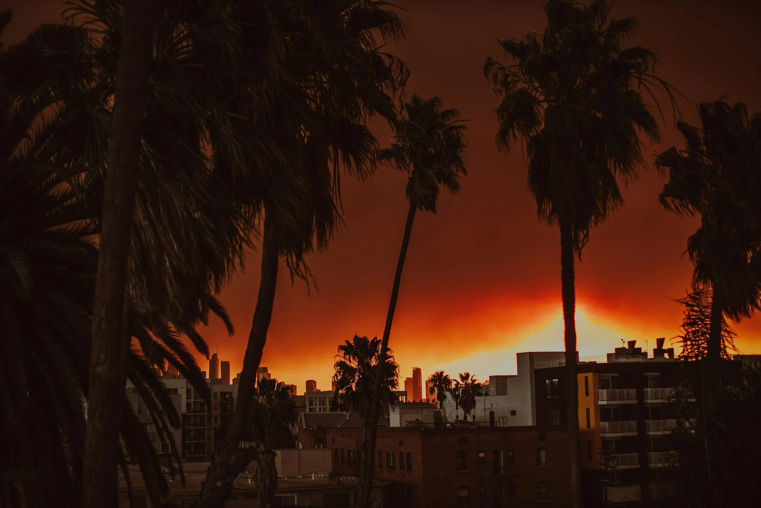 Anniversary: 1 Year after the LA Fires