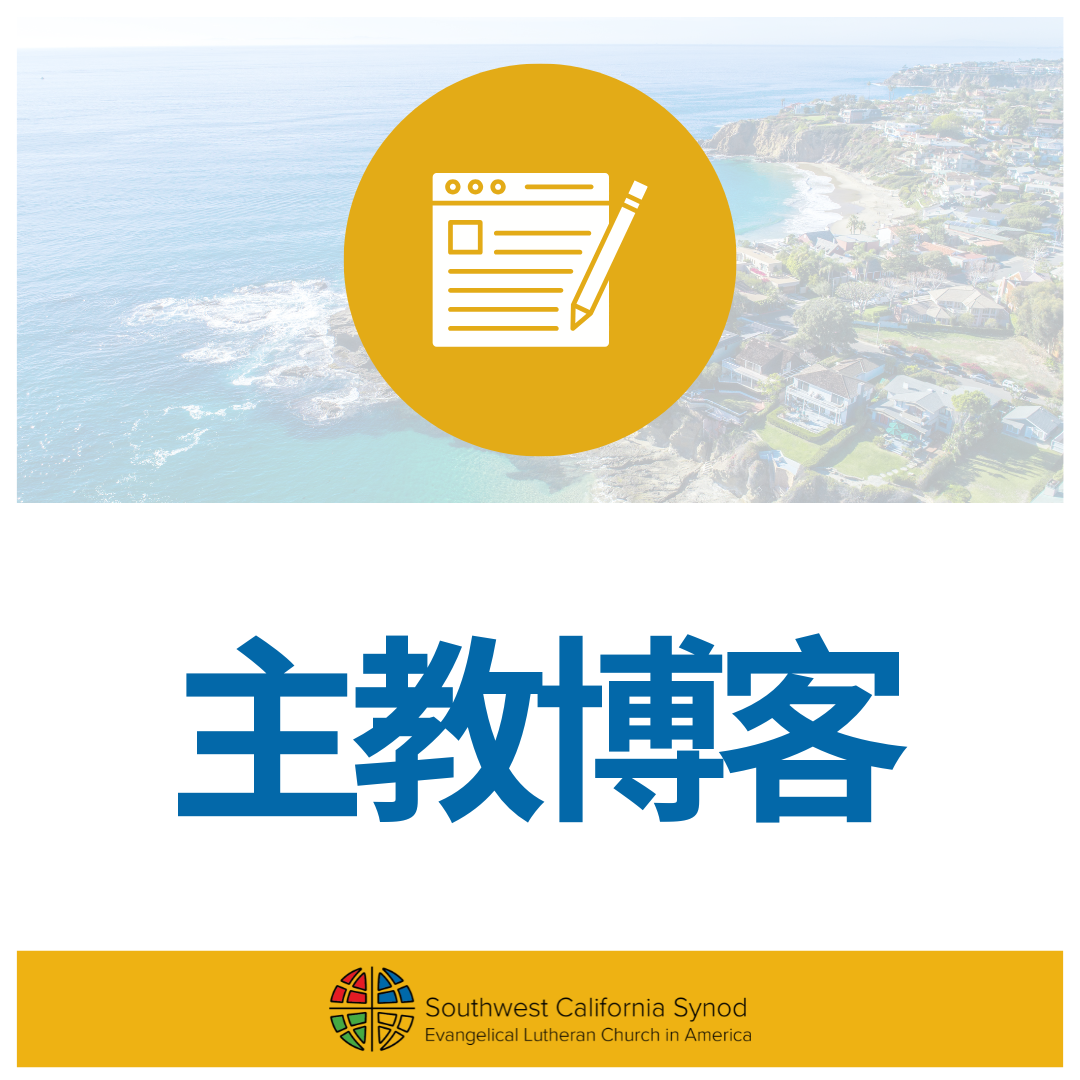 主教的感恩节信息 2025