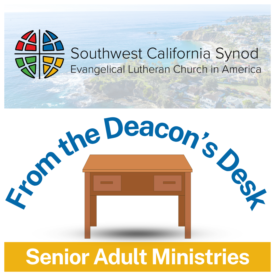 Strengthening Senior Ministry: A Synodical Partnership