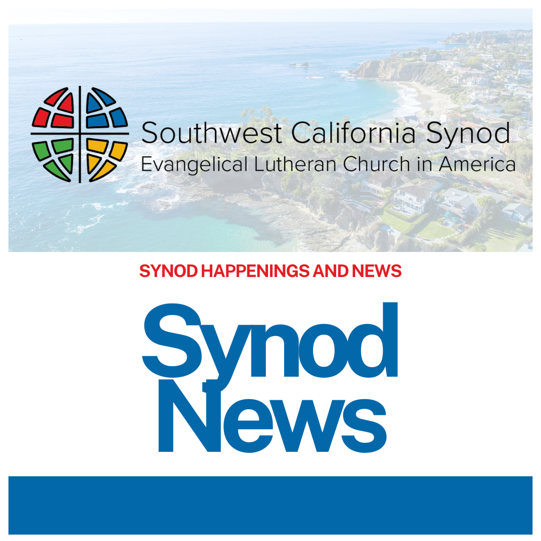 2026 Synod Assembly: Through the Lens