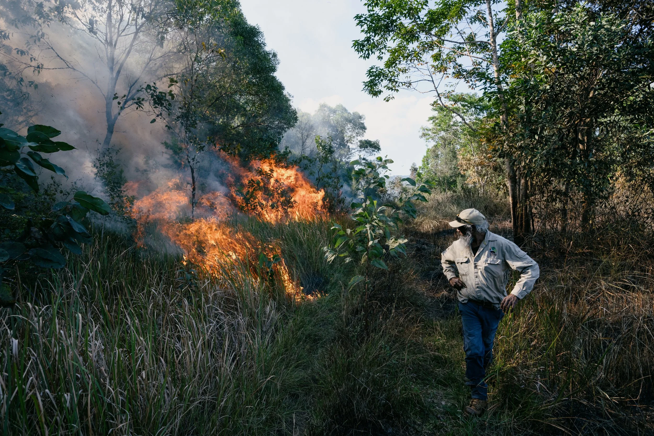  Bulmba Ranger Gavin Donahue manages a cultural burn at the edge of the forest in Djabugay country. This fire is intended to eradicate saw-sharp invasive grasses that local wallabies can’t eat, so Donahue has set it to burn hot. Nonetheless, it fizzl