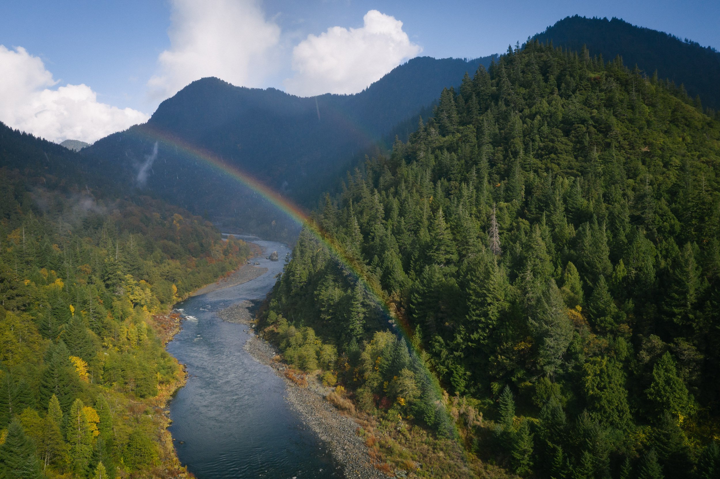 Save Our wild Salmon RENEWAL Series: Guardians of Life: Indigenous Science, Indigenous Wisdom, and Restoring the Planet with Kiliii Yüyan