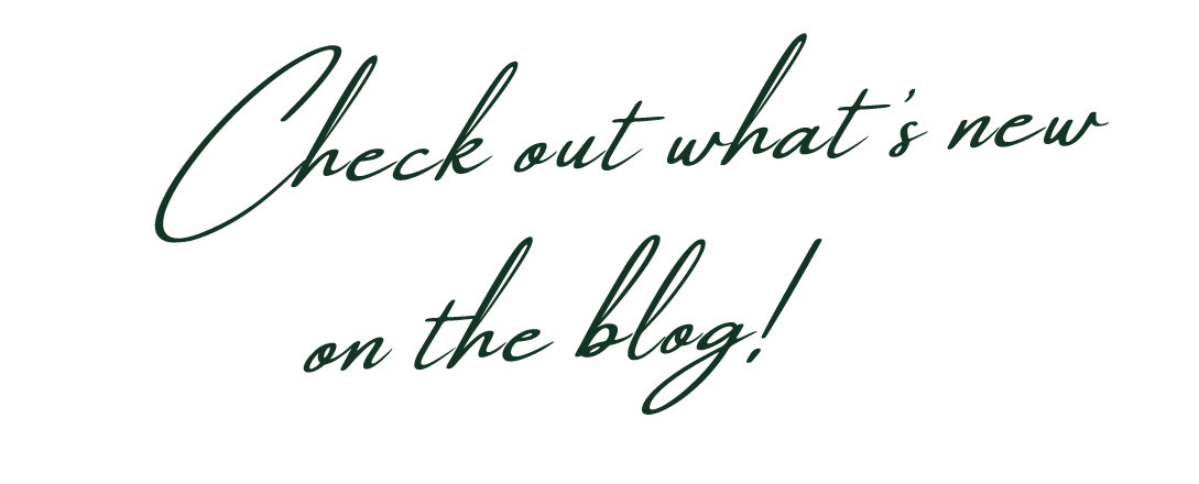 Green cursive text on a black background reading 'Check out what's new on the blog!'