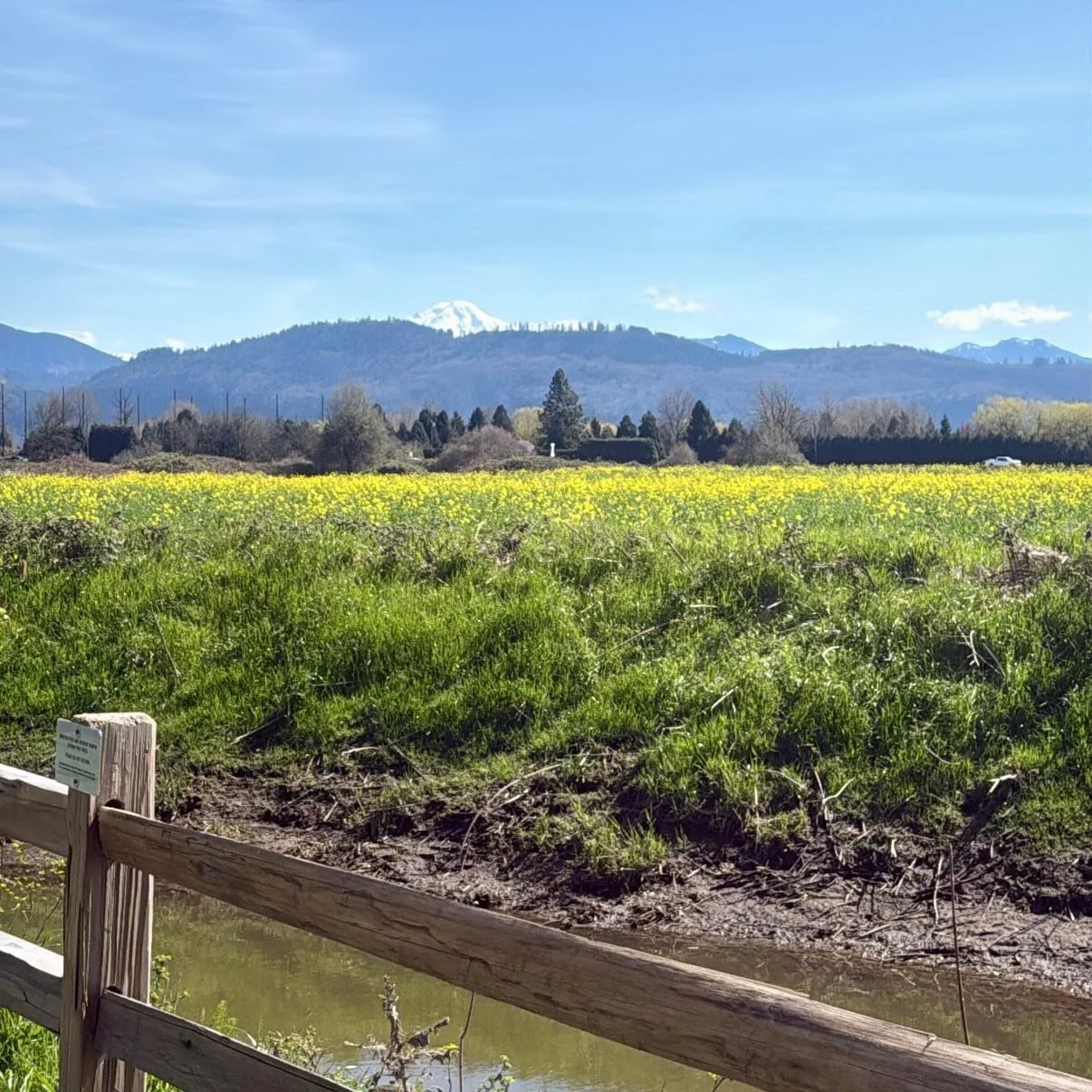 Nothing like a sunny long weekend to slow down and reset ☀️🌷

With lip blush, you get a natural flush of colour that lasts&mdash;saving you time on your routine so you can focus on what really matters 💋✨

Simple, soft, and low-maintenance beauty.

