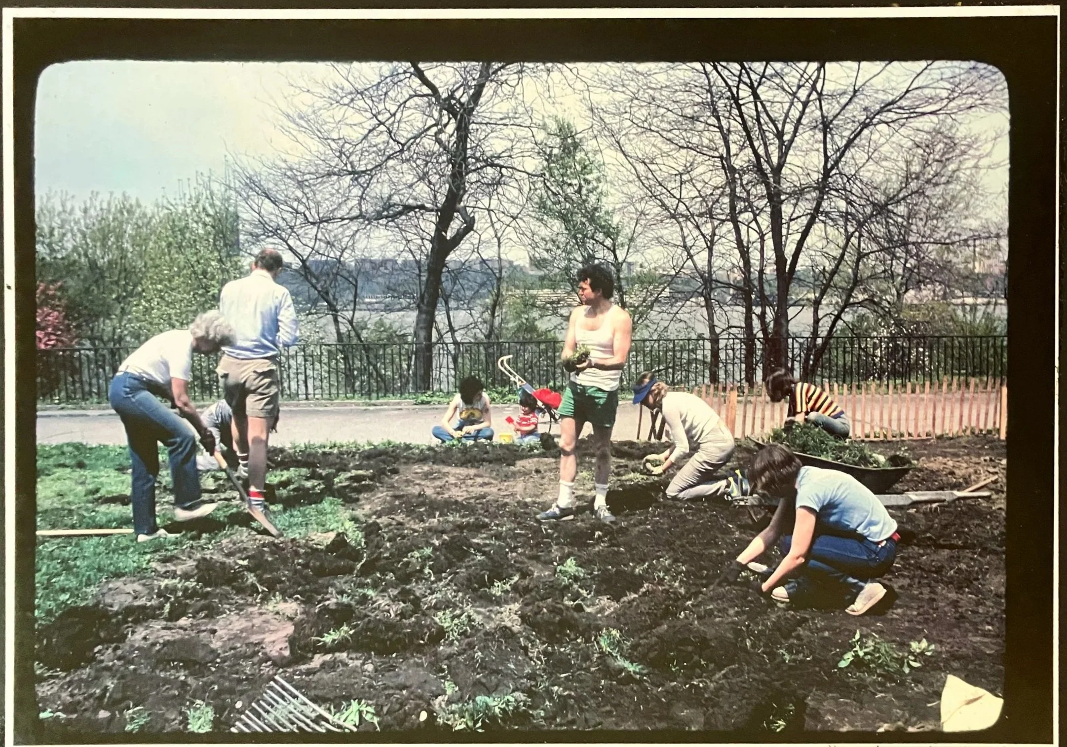 DIGGING IN 1982