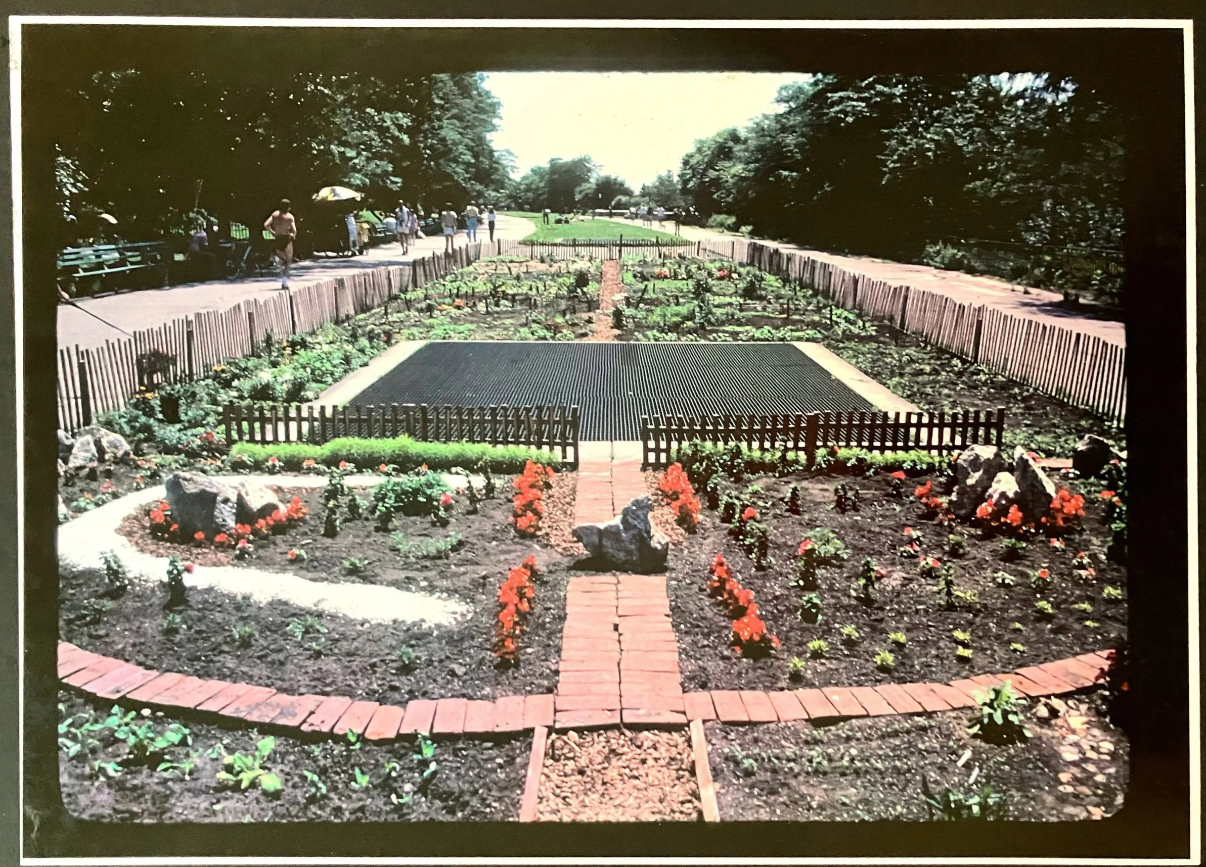 TAKING SHAPE 1982
