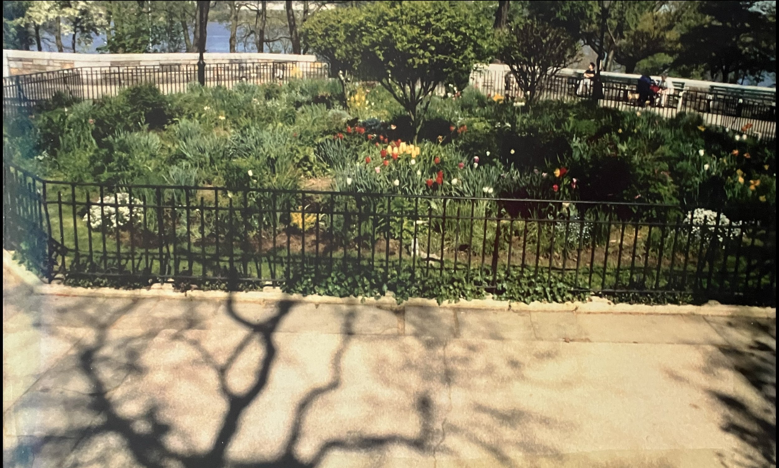 OCTAGON 1988