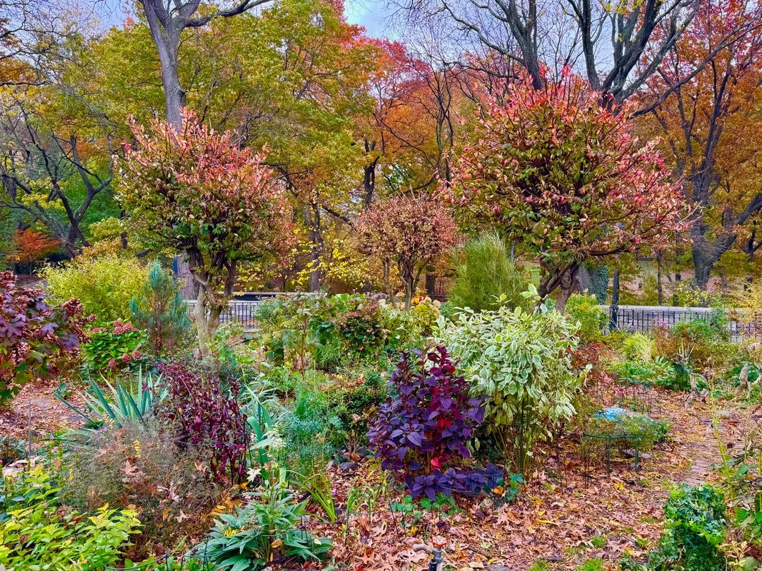 fall scene.jpg