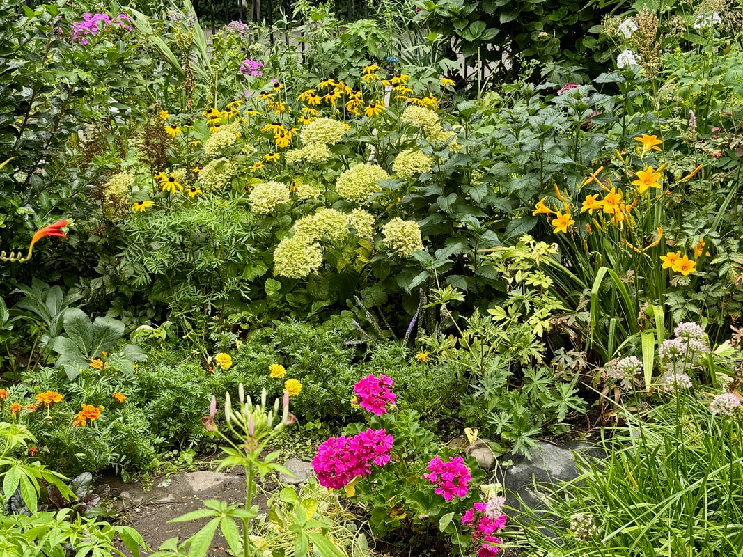 garden.jpg