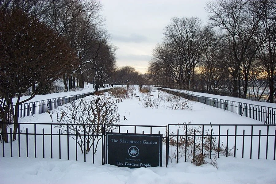 Snow-covered garden with trees and bushes, fenced off with a black metal fence, and a sign reading 'The 91st Street Garden, Established 1892, The Garden People' in the foreground.