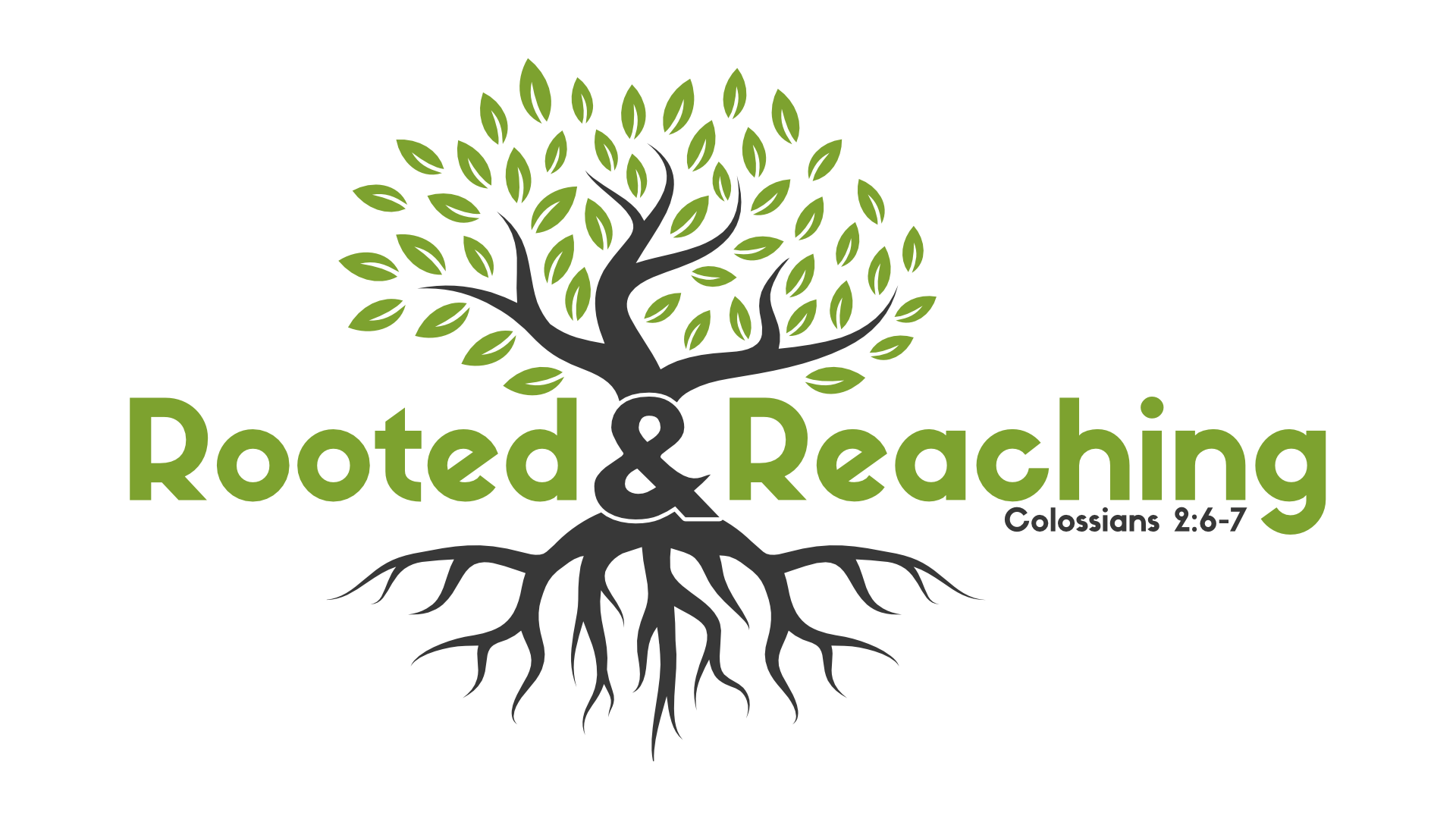 Logo with a tree showing green leaves and roots, accompanied by the text "Rooted & Reaching" and a Bible verse reference "Colossians 2:6-7."