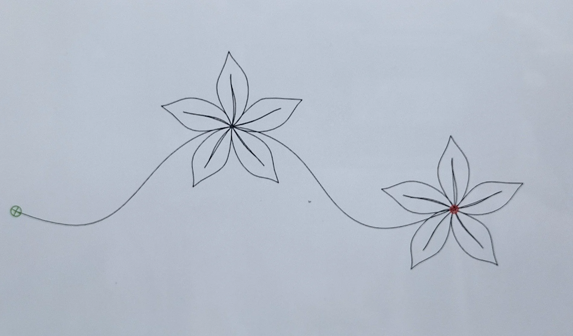 Quilting Patterns - PS Designs - Continuous Lines - Poinsetta Cont. Border