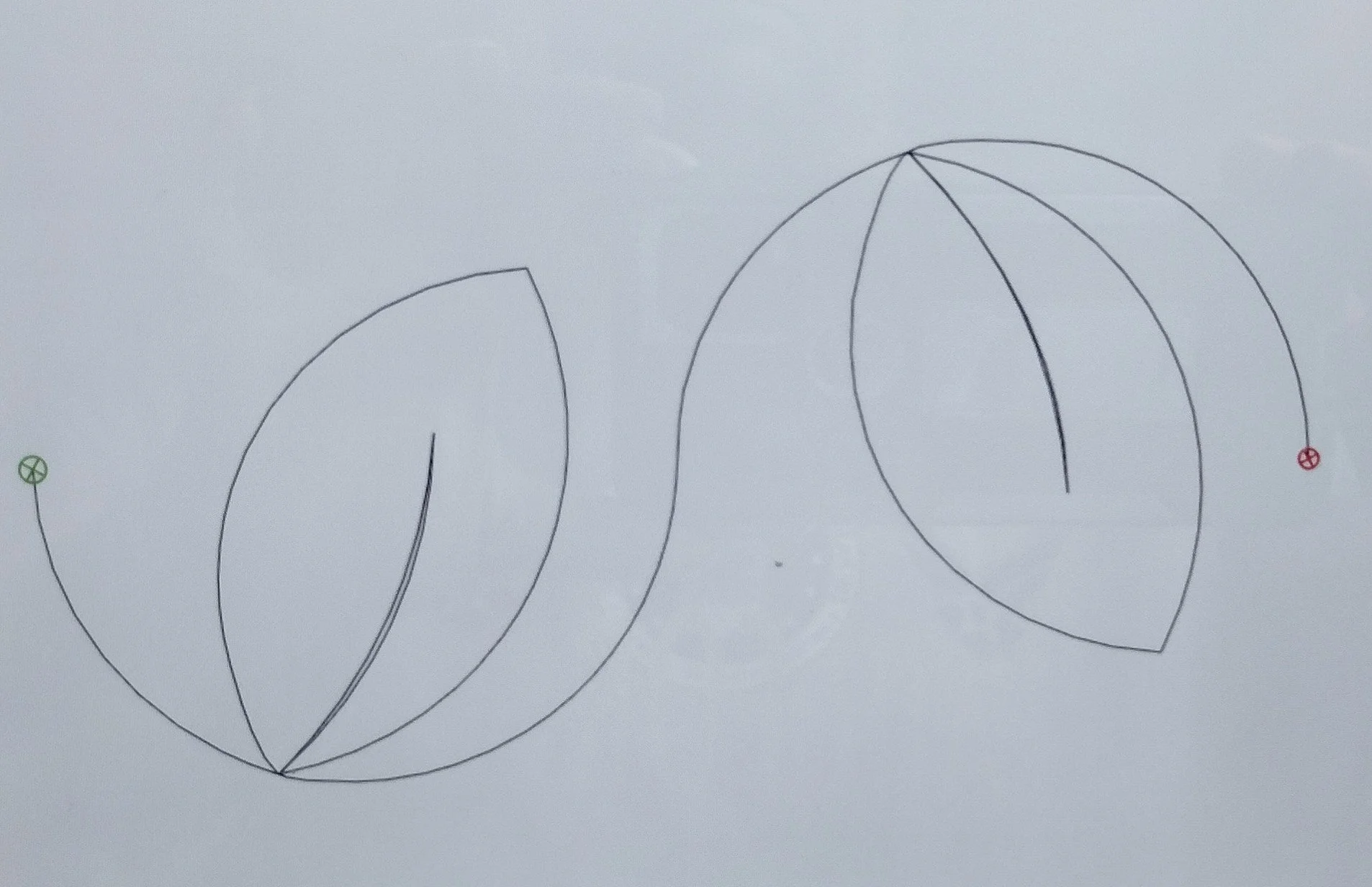 Quilting Patterns - PS Designs - Continuous Lines - Leaf Trail