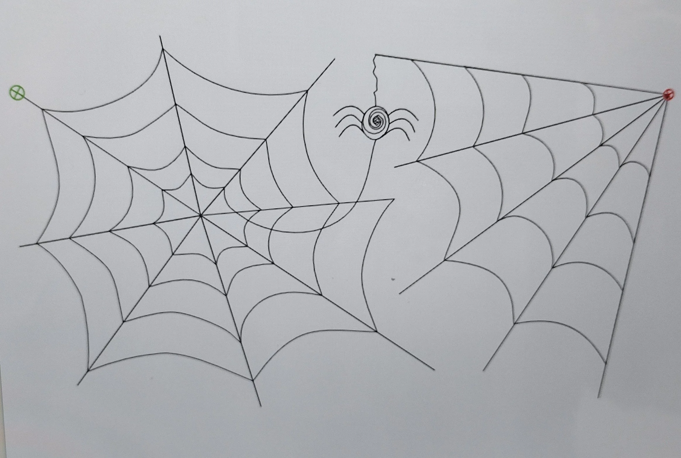 Quilting Patterns - PS Designs - Continuous Lines - Spiderweb E2E