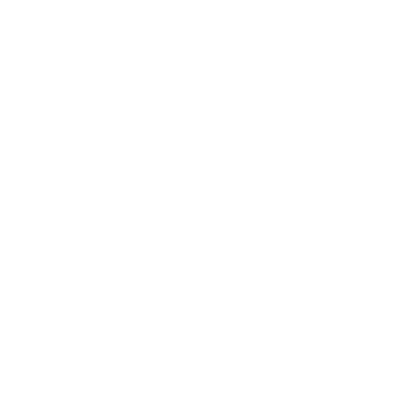 Sustaina Bling Jewelry