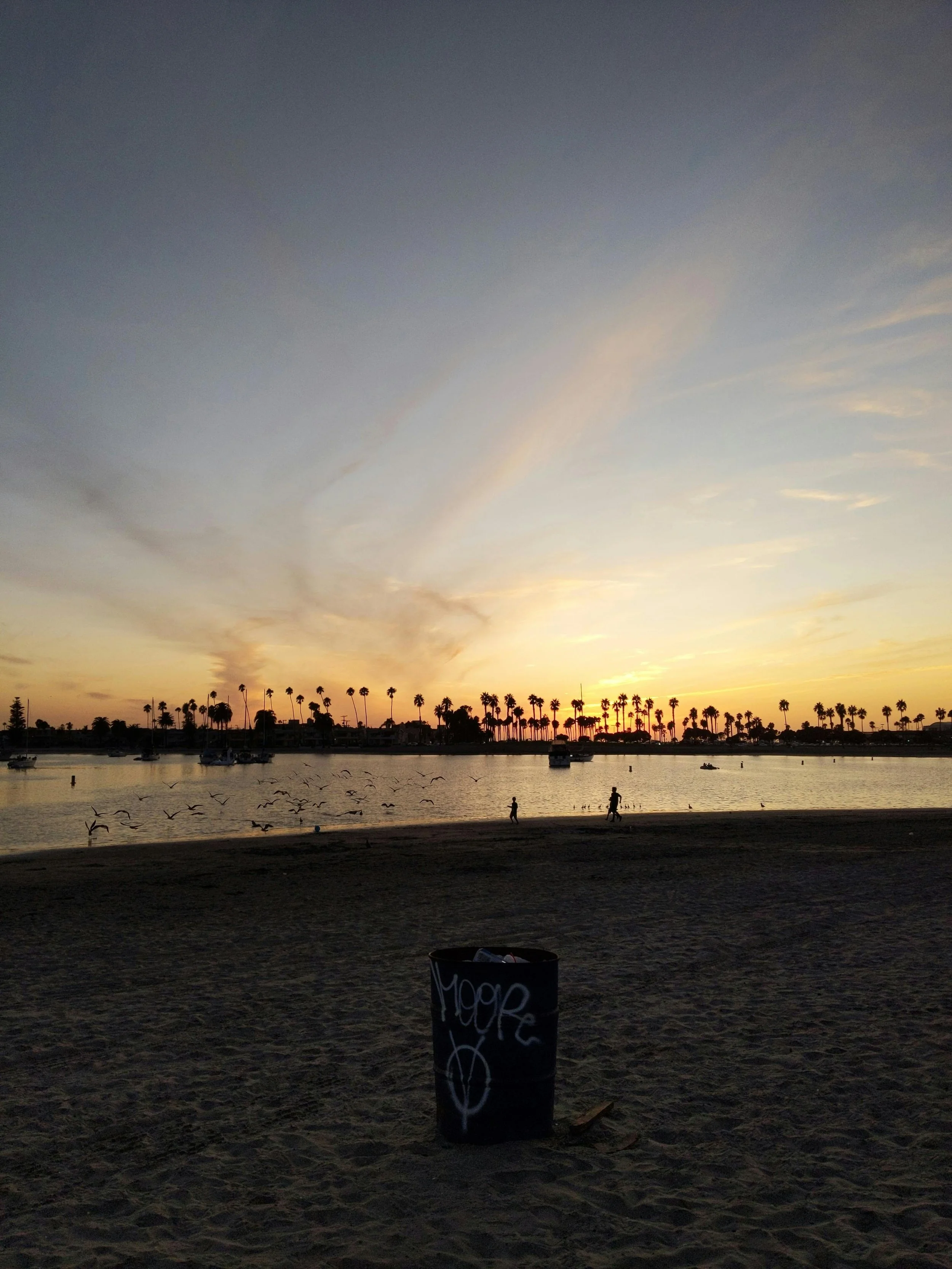 Mission Bay in San Diego with the sun setting behind palm trees
