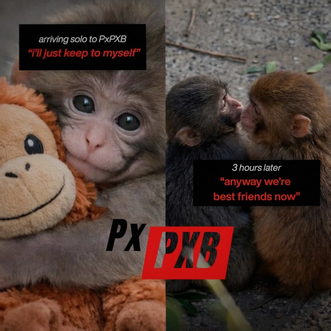 most people are coming solo btw &mdash; it works itself out 🙃

🔗 in bio //