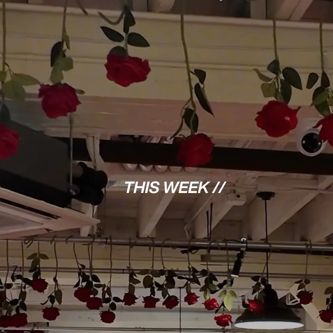 this week.

red rose &mdash; thursday
basically gone. 2 spots left.

pxpxb &mdash; saturday

2x pilates, sauna, coffee, tacos + tequila.

come solo. or attached.
this is social thing. 

🔗 in bio //