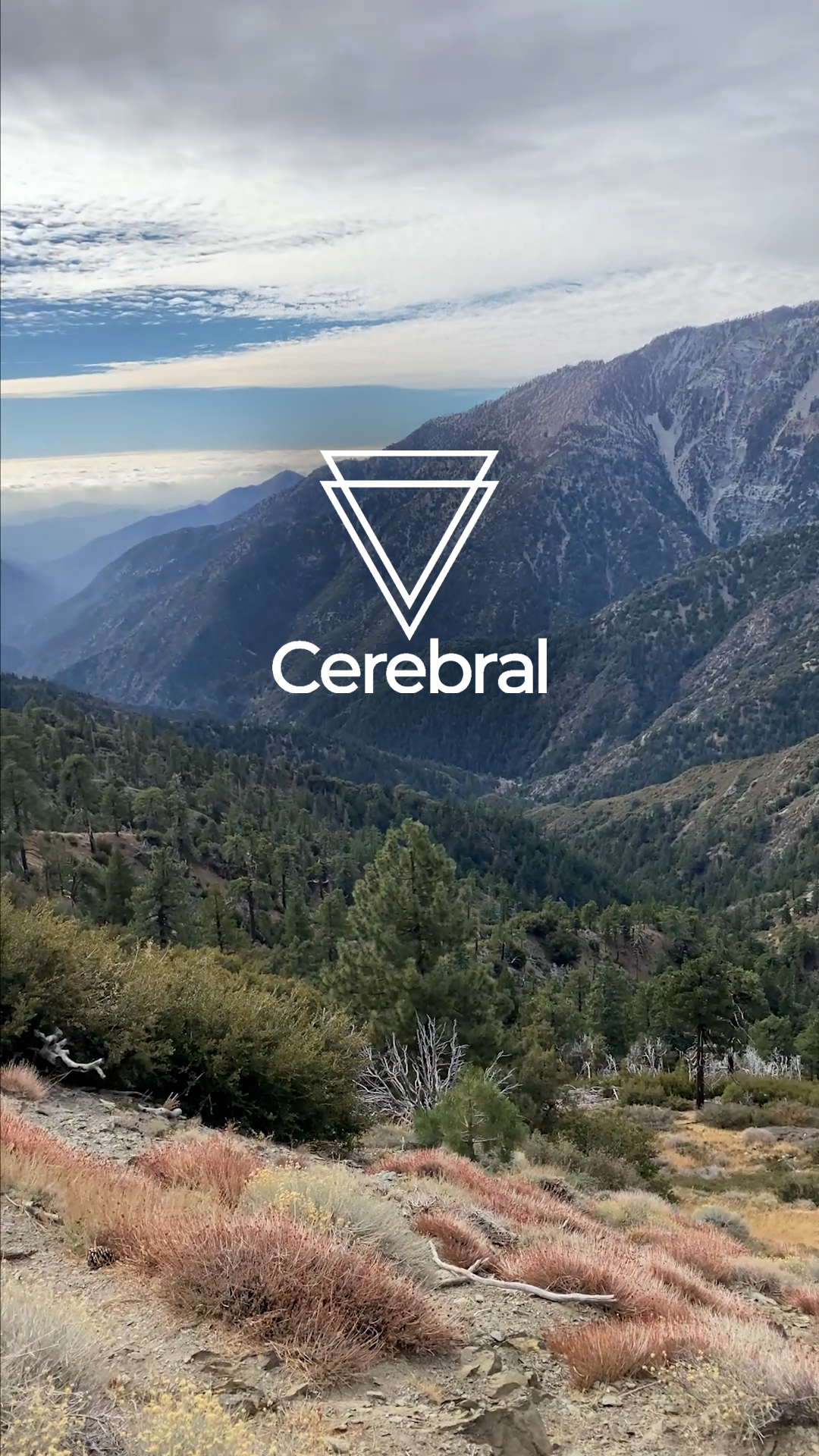 Cerebral App