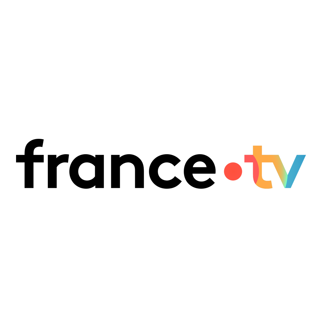 France.tv_Logo.png