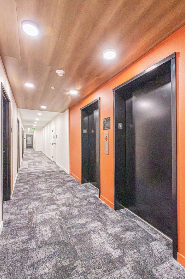 apartment website-4.jpg