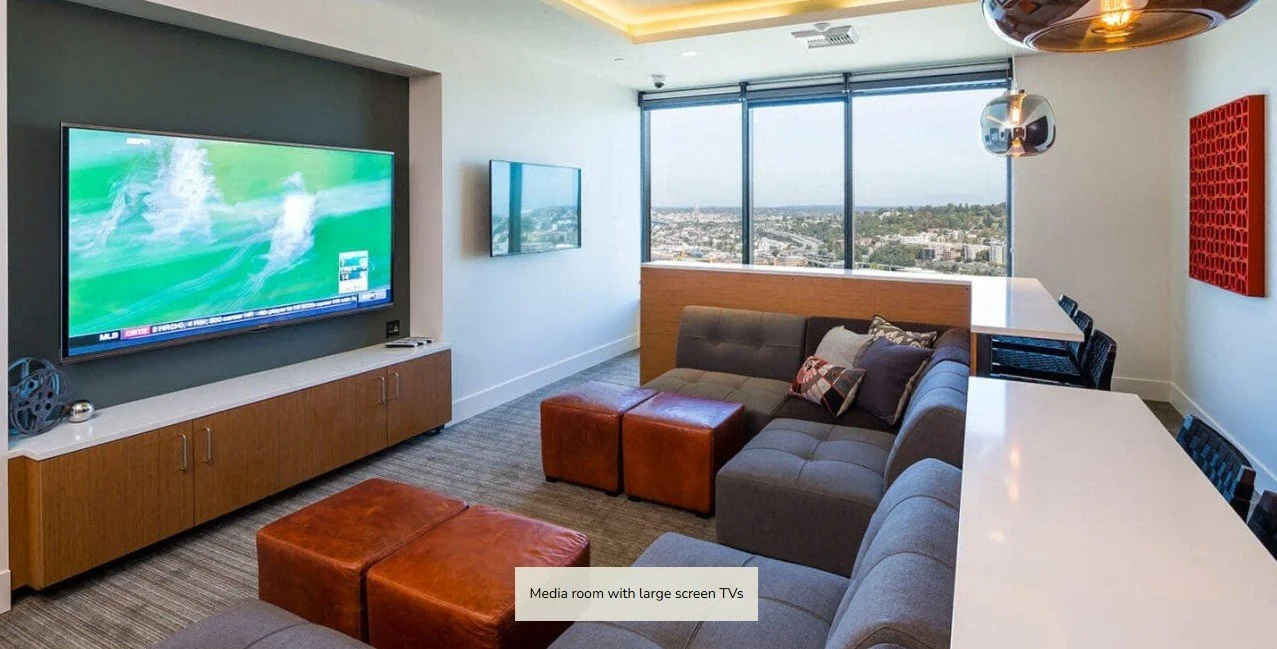 Windsor website6.jpg