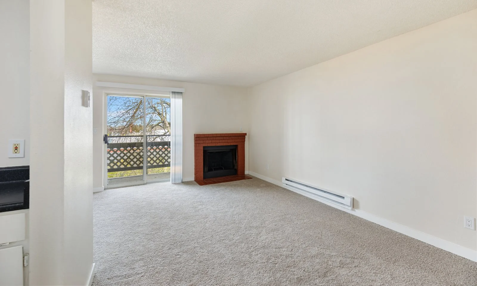 20230405.449 (1).jpg