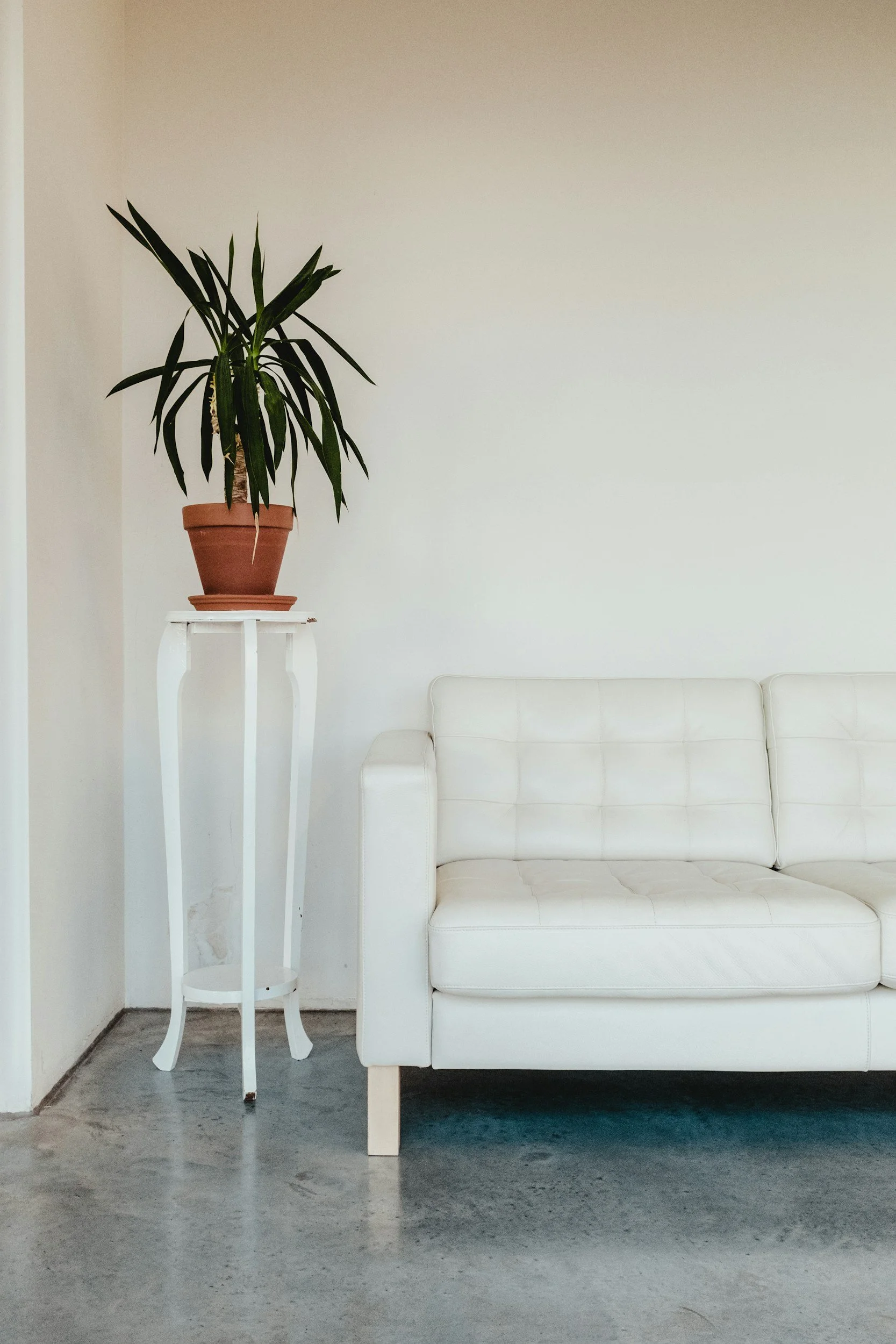A white couch or sofa with a minimalist design and a white side table holding a large potted plant with long, green leaves, against a plain light-colored wall.
