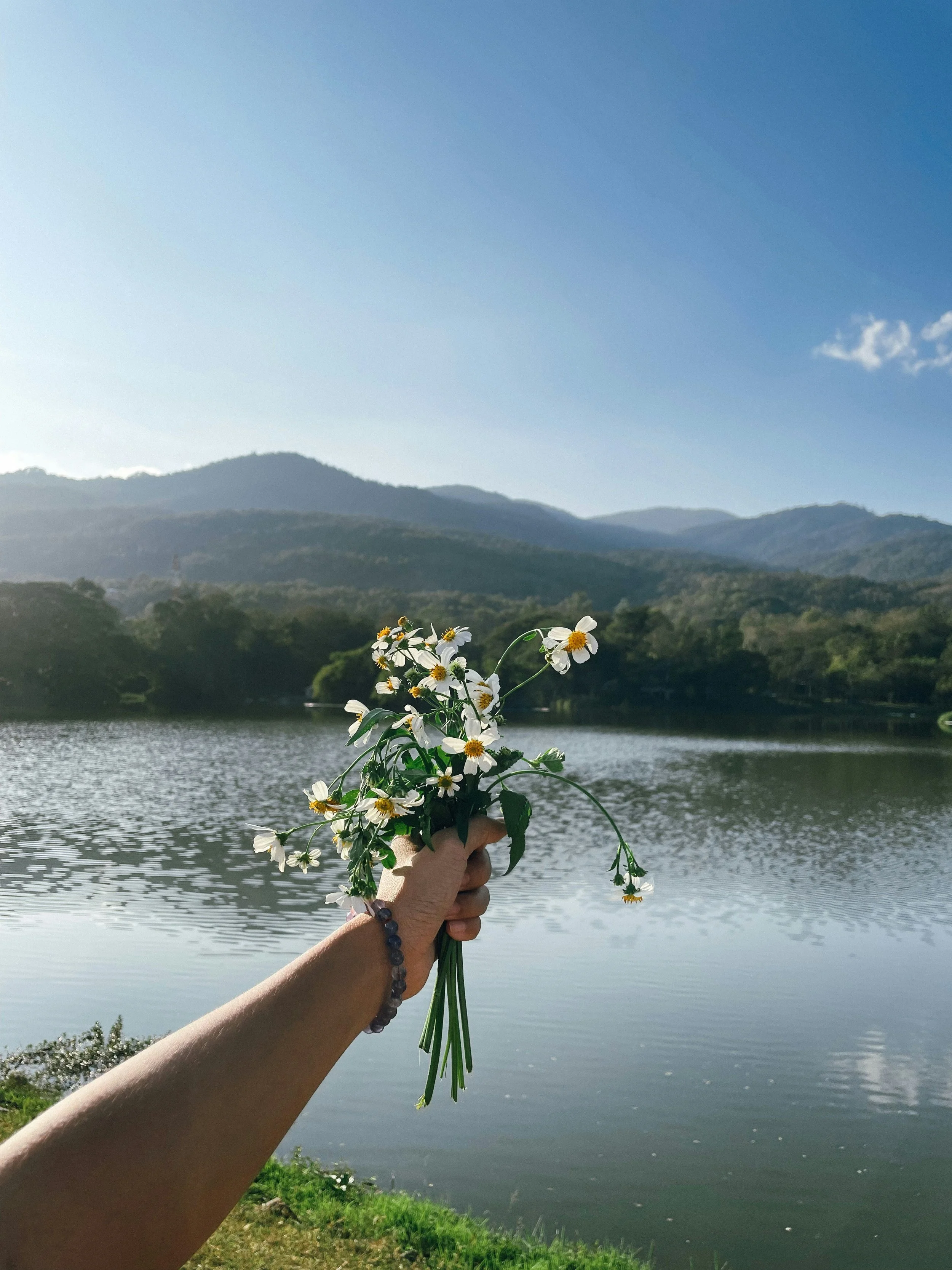 Person holding a bouquet of white daisies in front of a lake with mountains in the background under a partly cloudy sky.