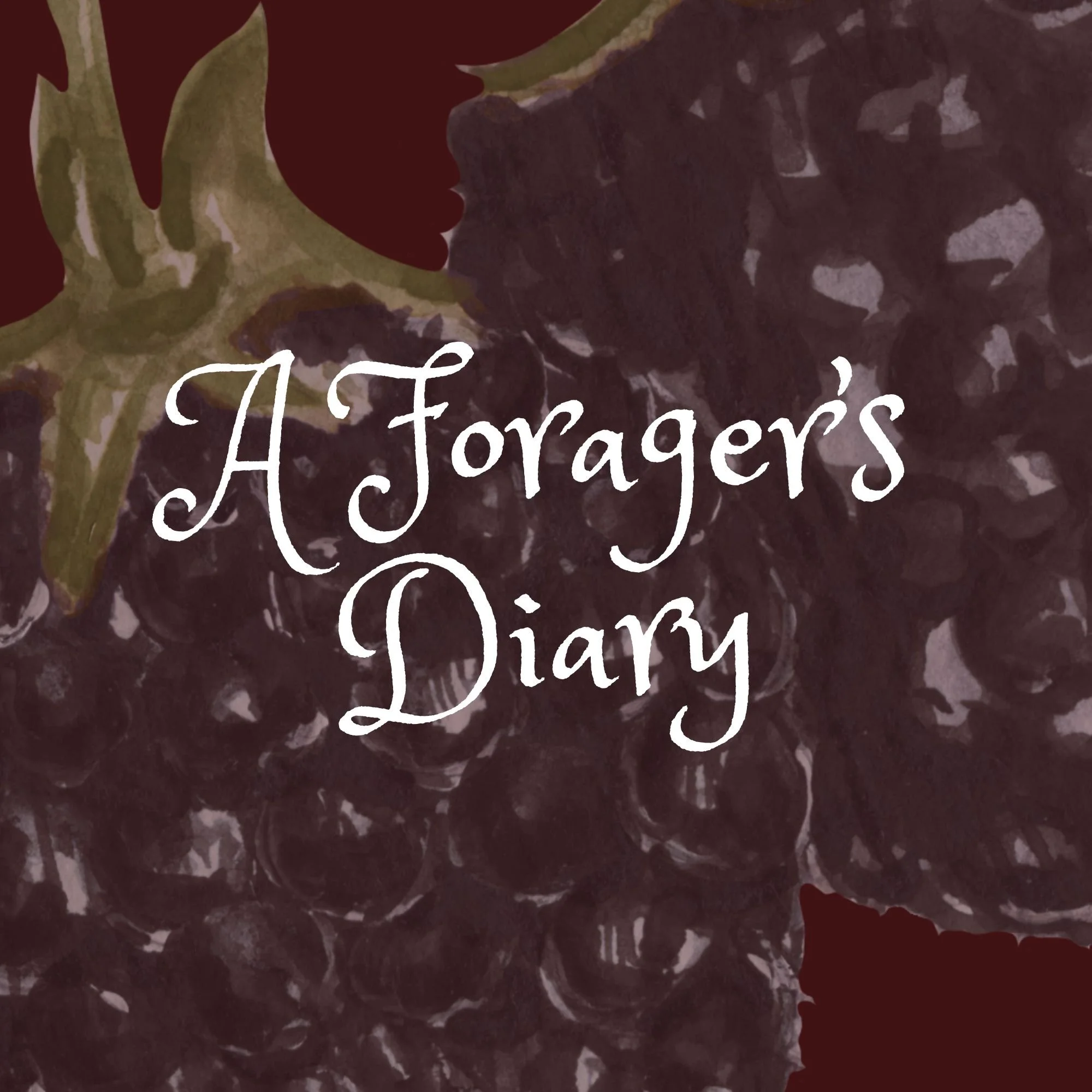 A Forager's Diary