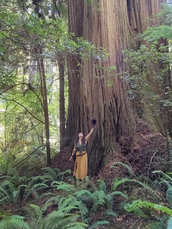 Ansley+Big+tree.jpg
