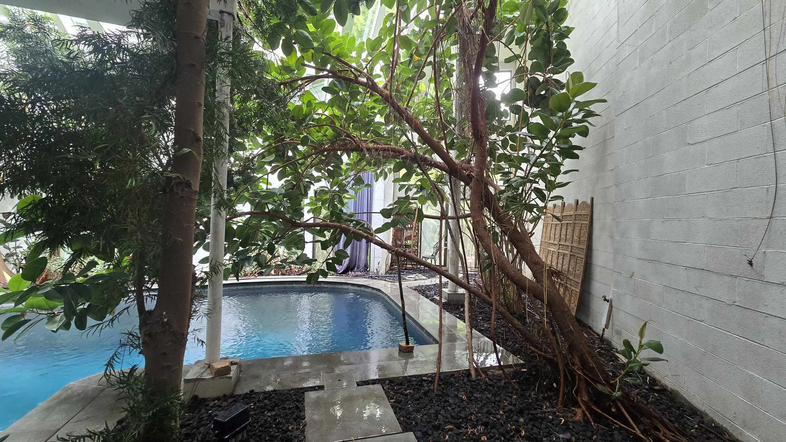 indoor tropical conservatory 4.jpg