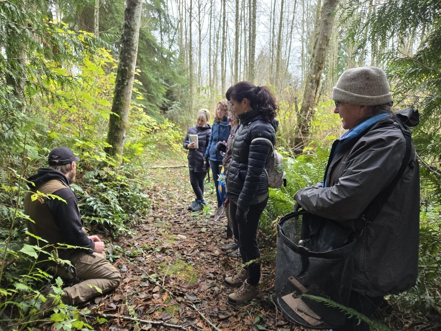 plant walk foraging app nov 23.jpg